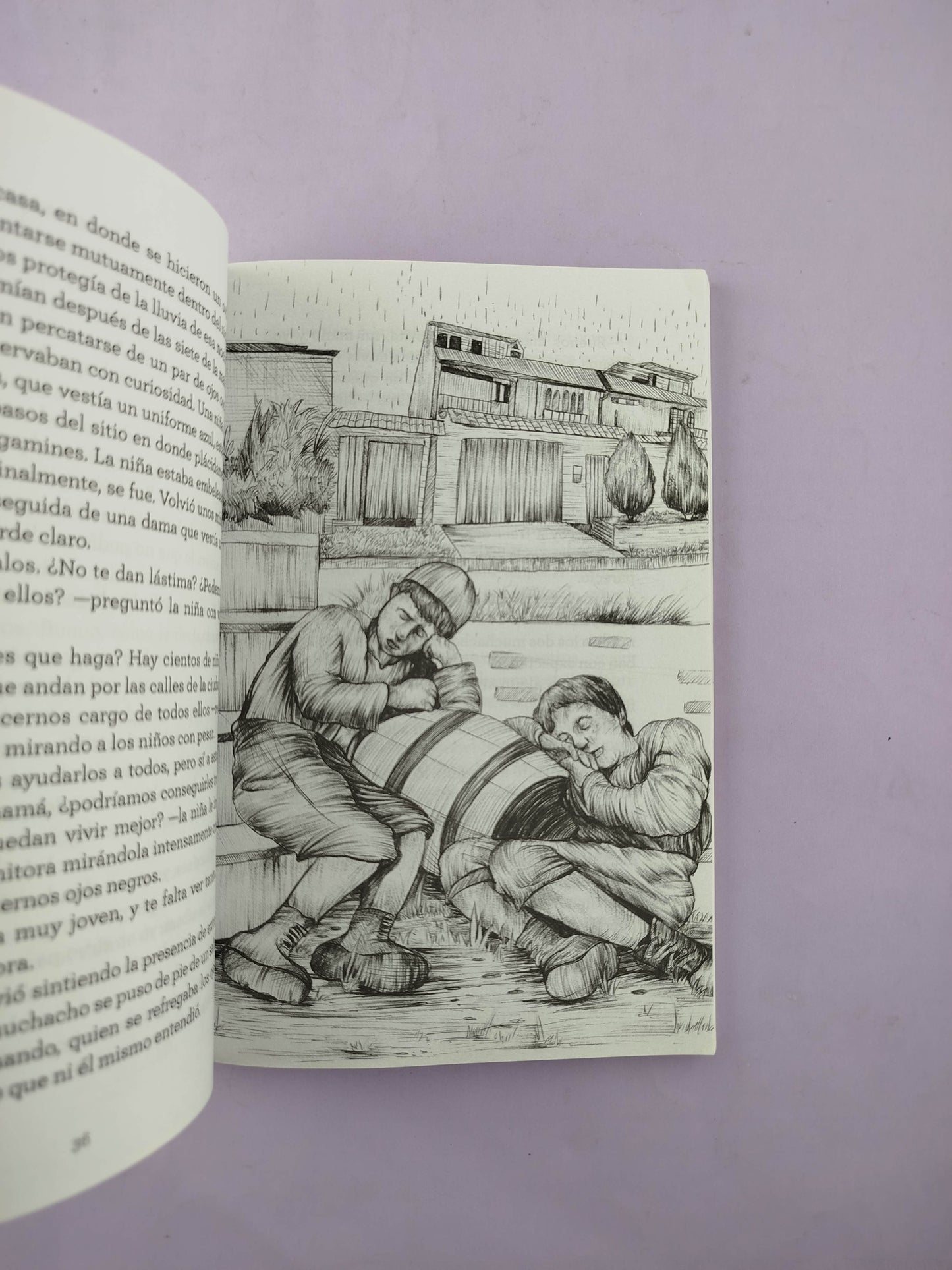 Aventuras de un niño de la calle by Julia Mercedes Castilla