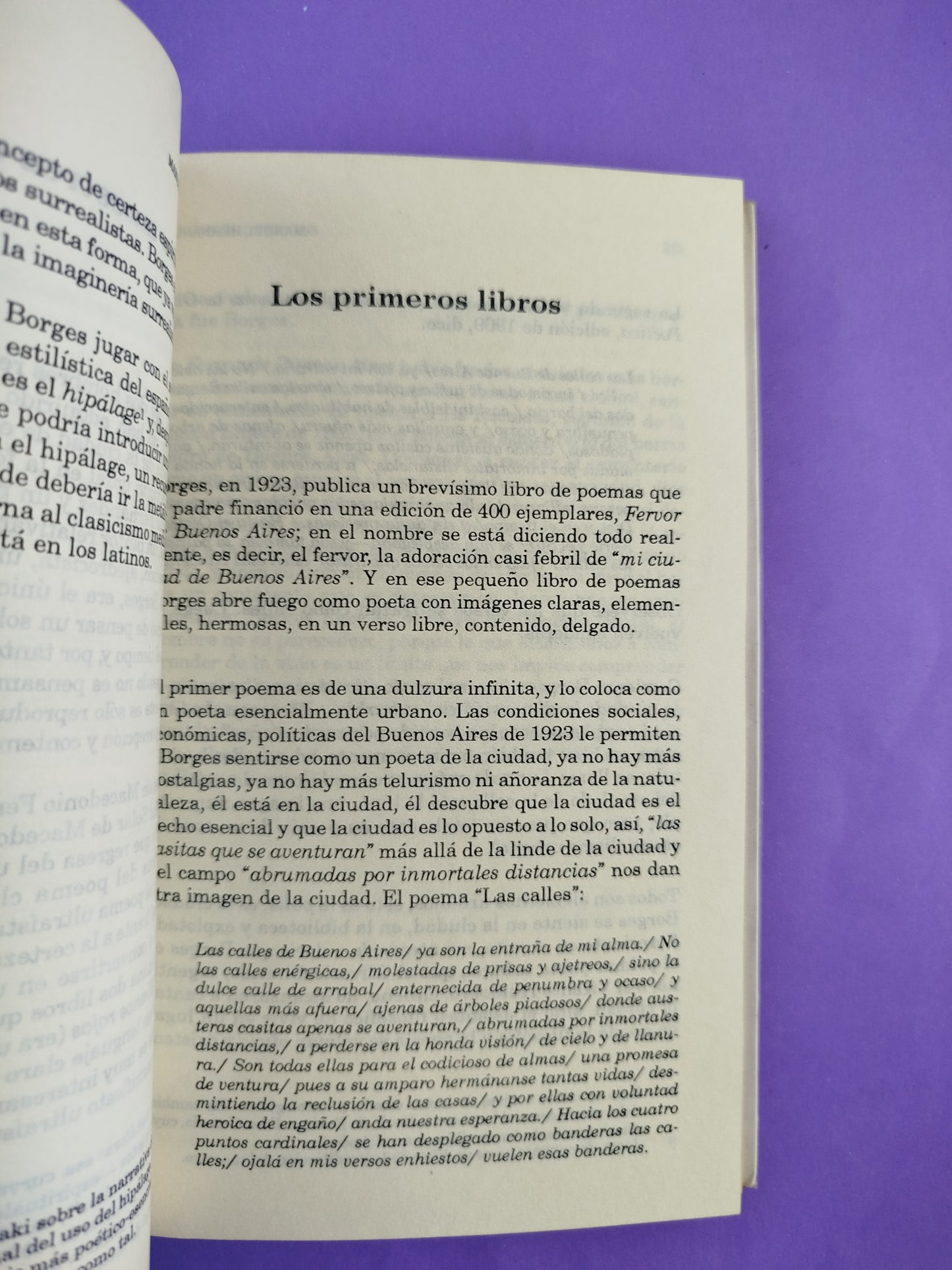 Borges de la Ciudad al Mito