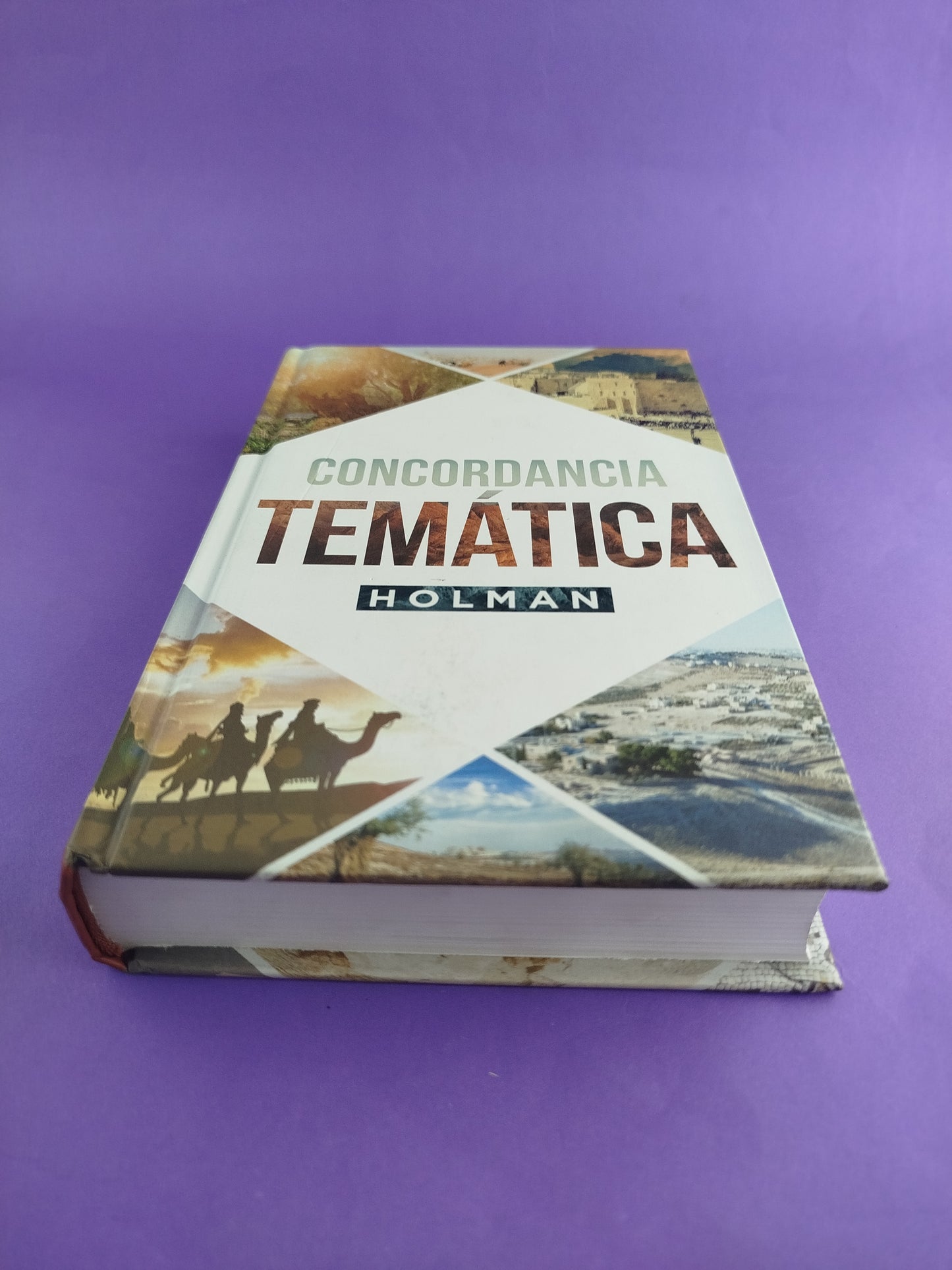 Concordancia temática Holman