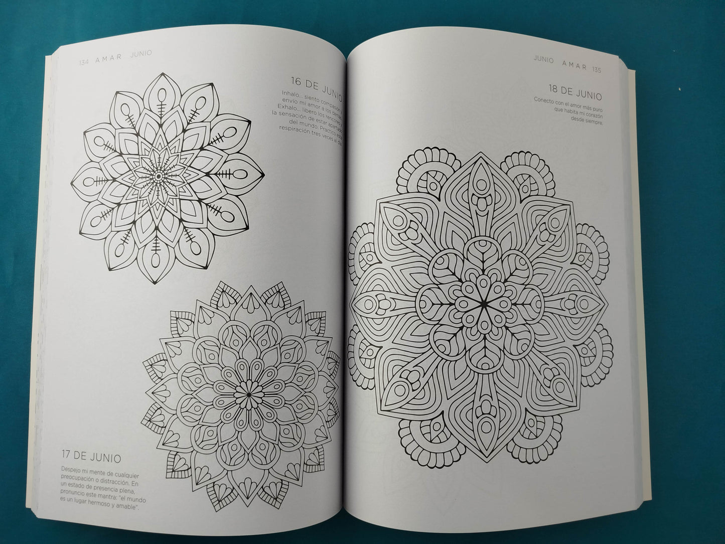 365 Mandalas para meditar todos los días