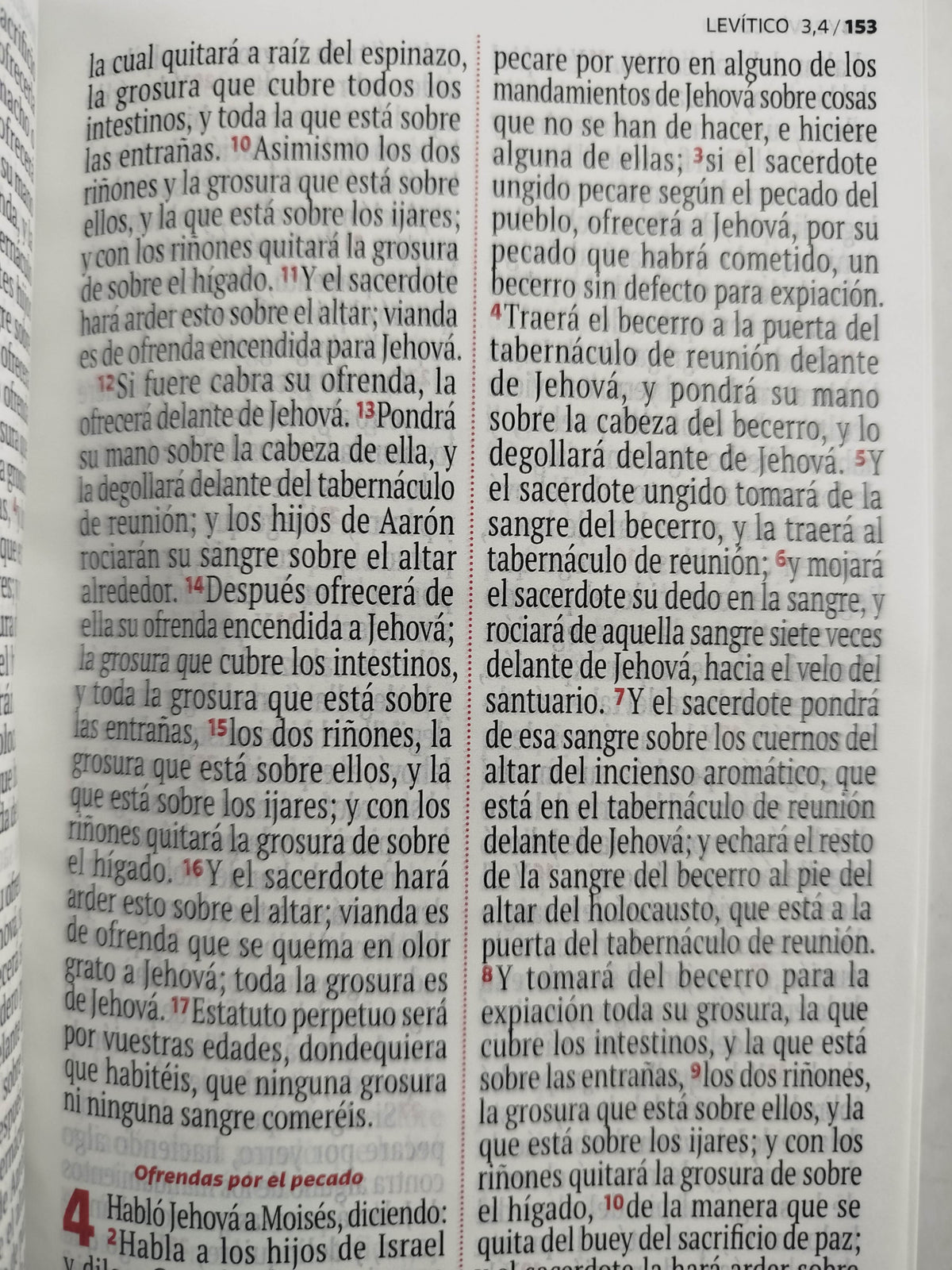 Biblia RVR 1960 letra grande blanca - flores by Reina Valera 1960