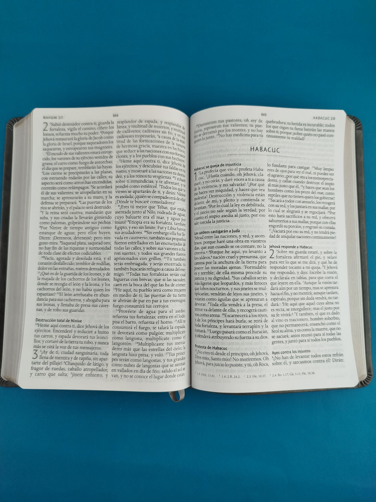 Biblia rvr 1960 letra grande tipo agenda gris sin cierre borde dorado e imágenes de la tierra santa tamaño manual
