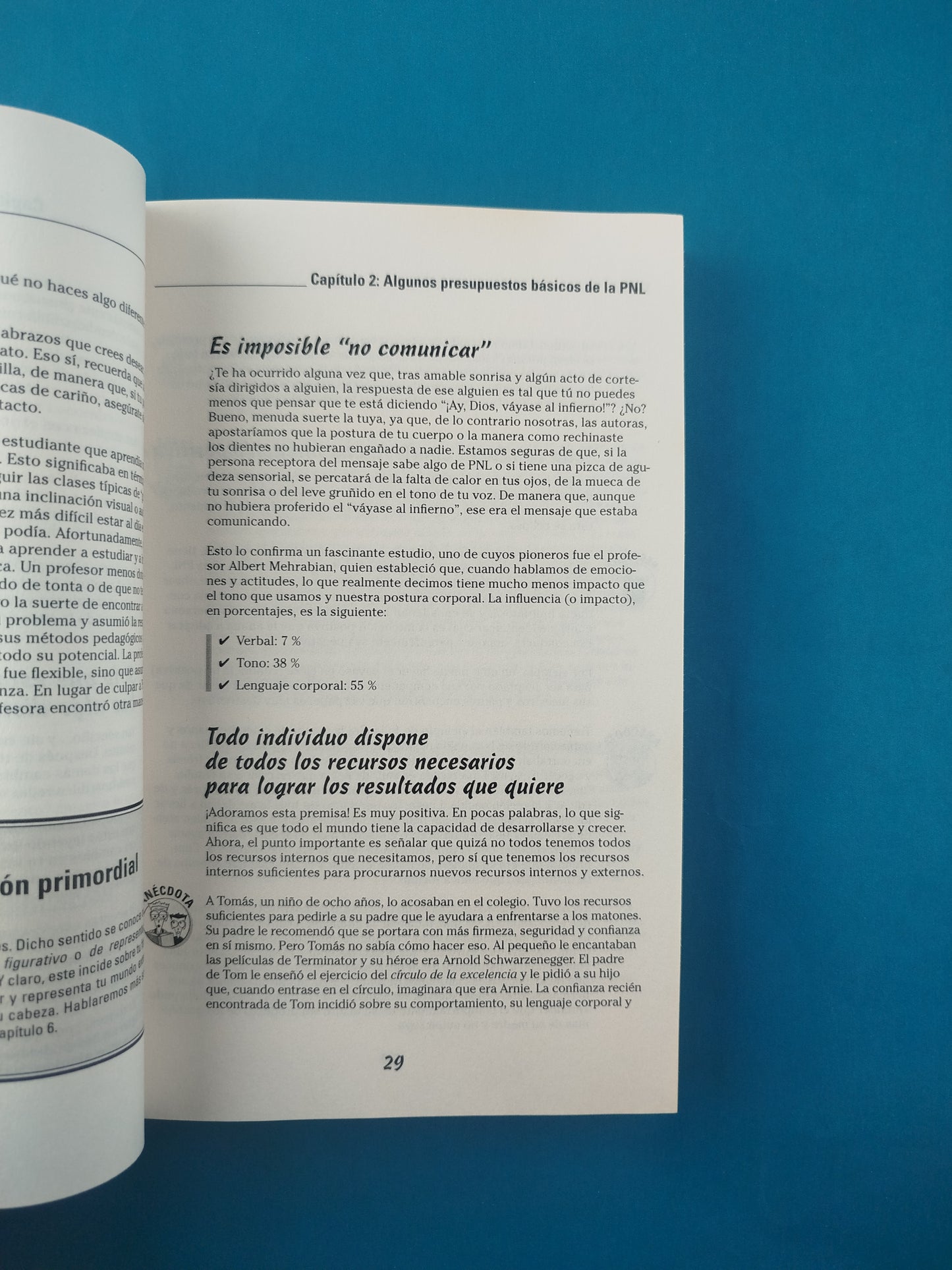 Pnl Para Dummies
