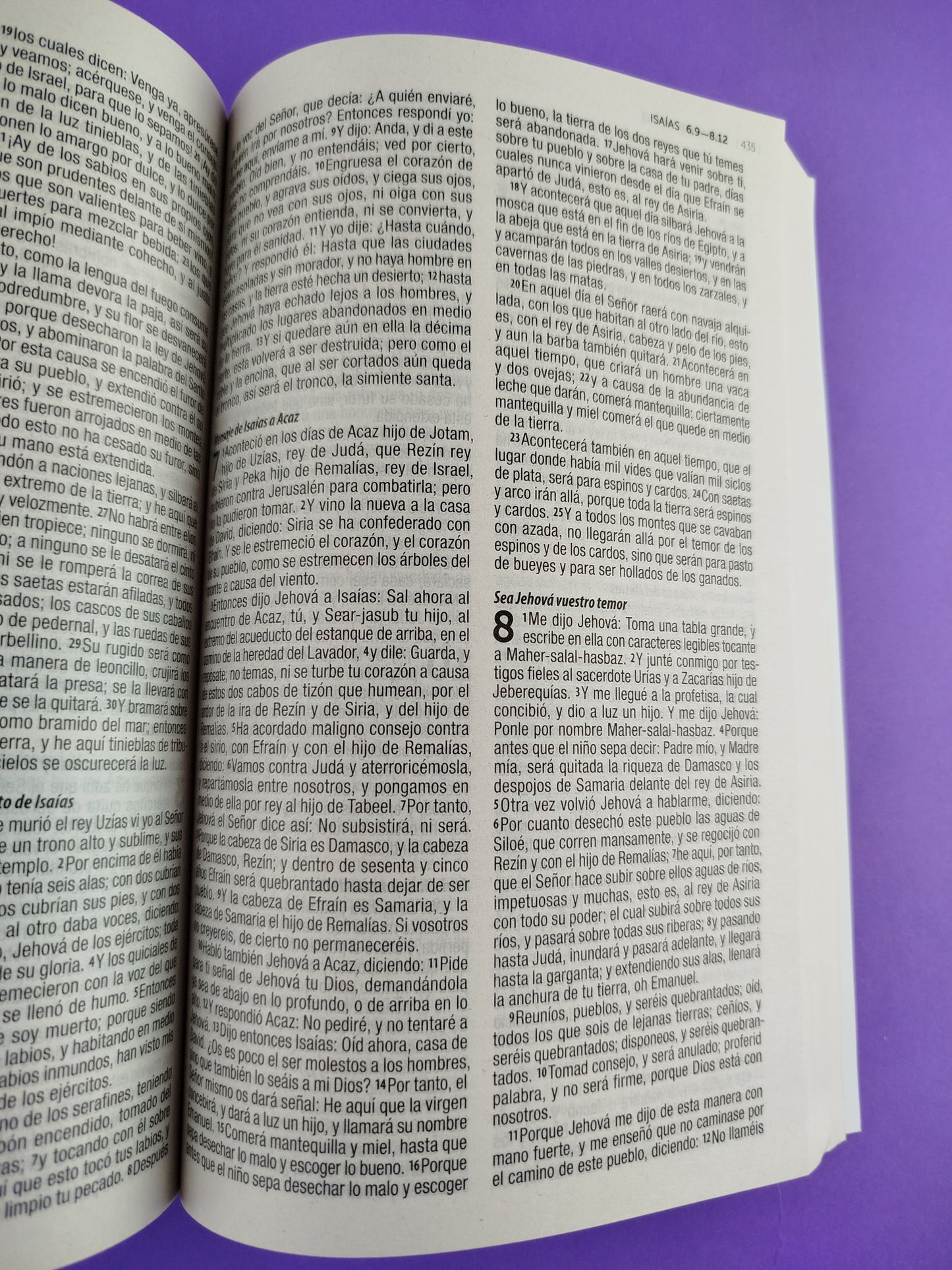 Biblia rvr 1960 misionera morado flores