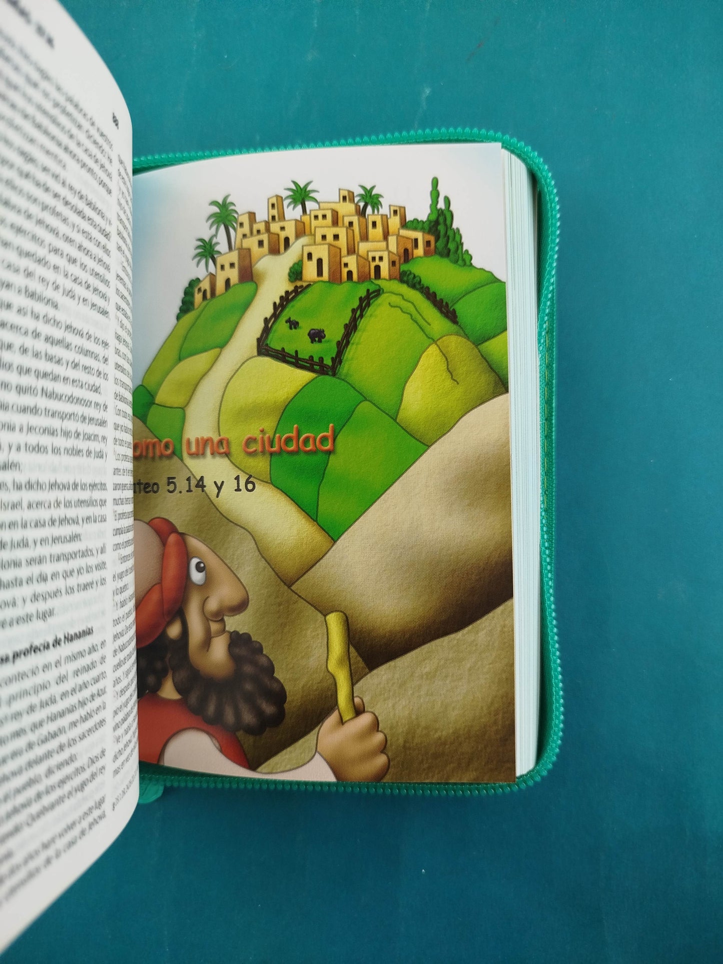 Biblia Amigos Por Siempre Verde Cierre