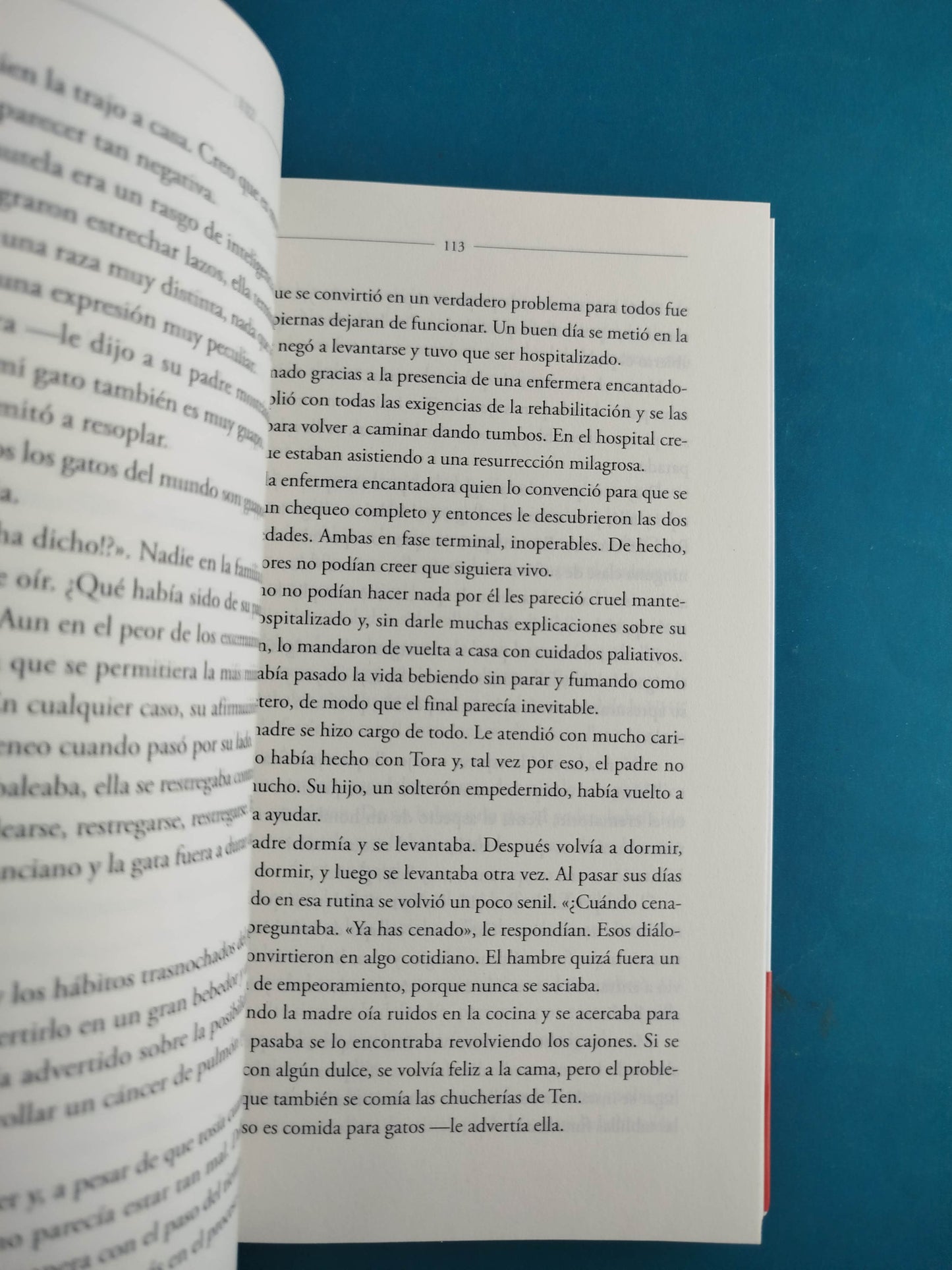 El gato que decía adiós