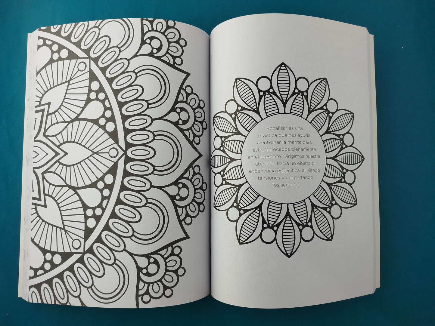 365 Mandalas para meditar todos los días