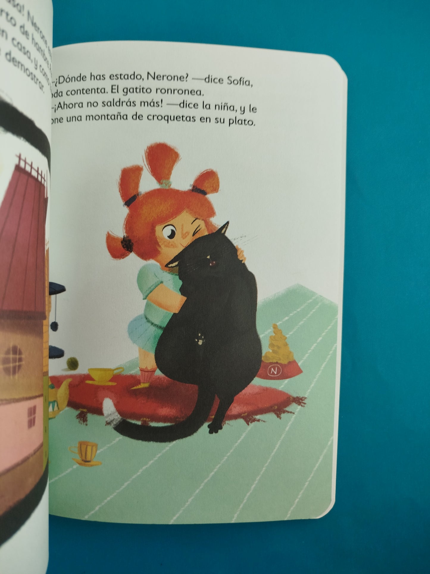 ¿Dónde es la casa del gato Nerone?