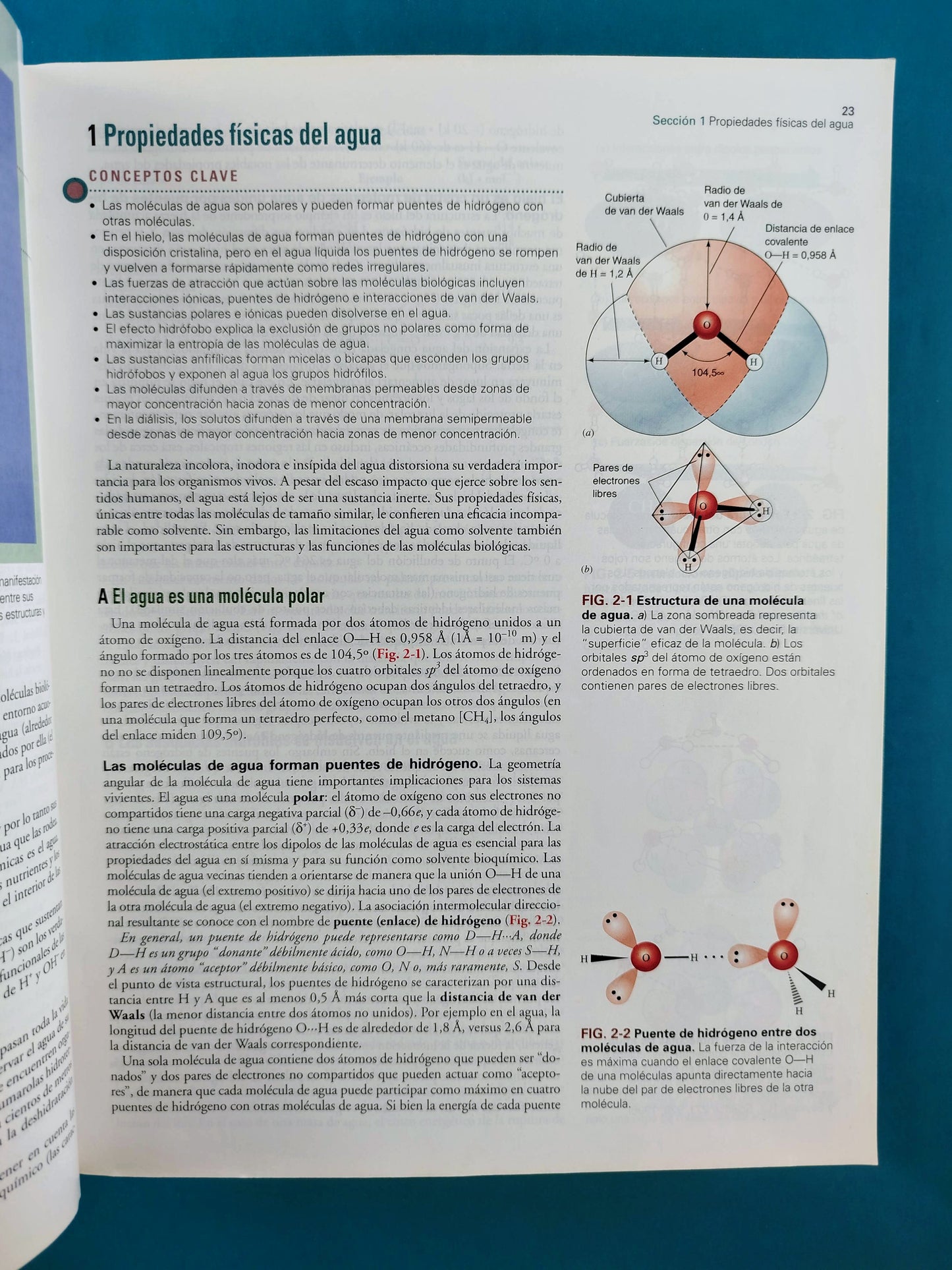Fundamentos de Bioquímica la vida a nivel molecular cuarta edición