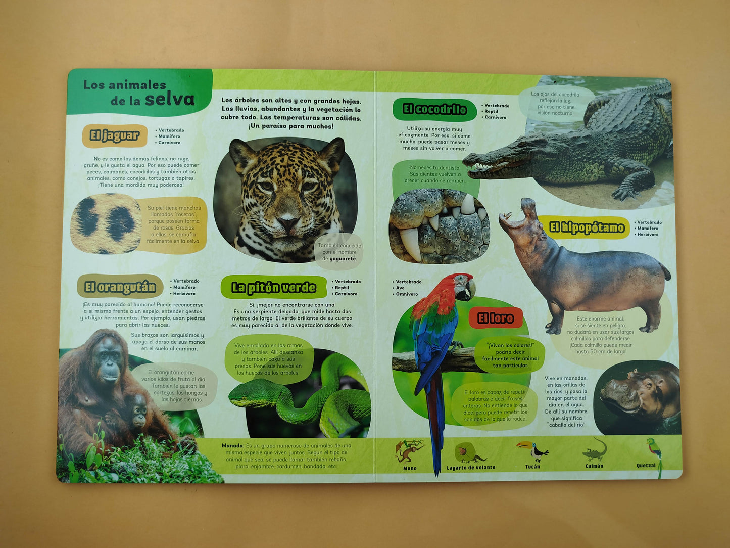 Mi Libro de Animales Increíbles