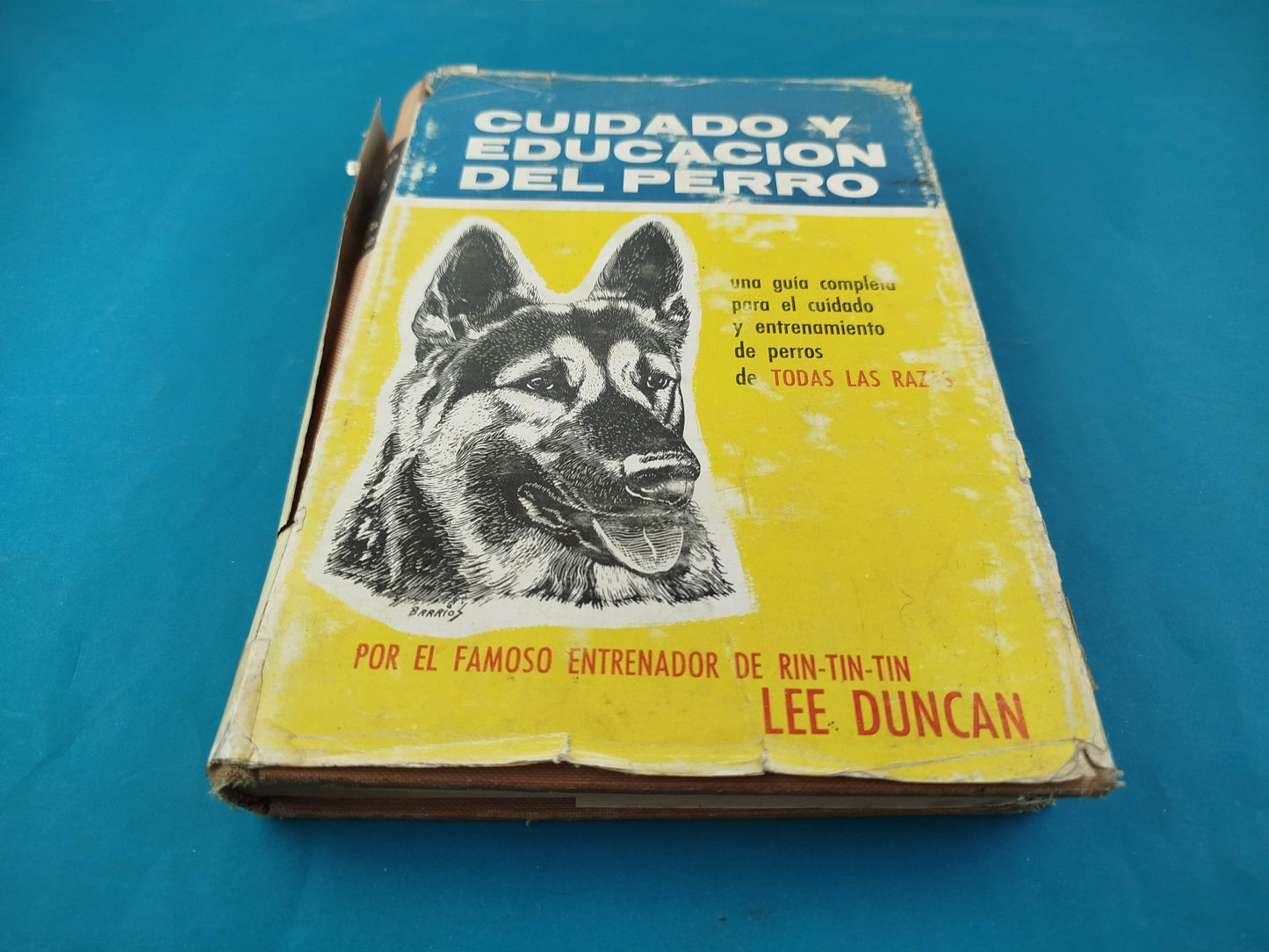 Cuidado y Educación del Perro