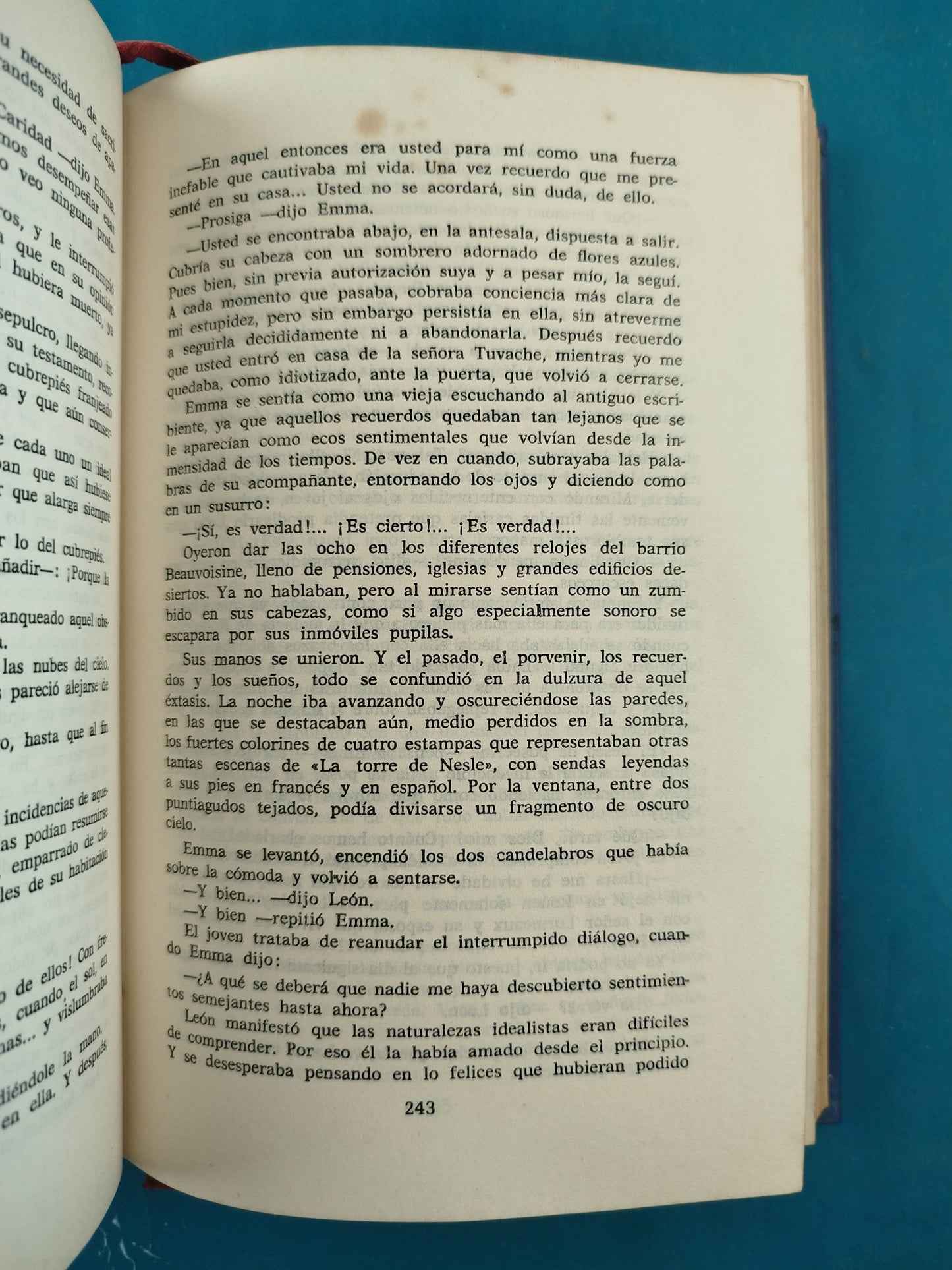 Madame Bovary salambo