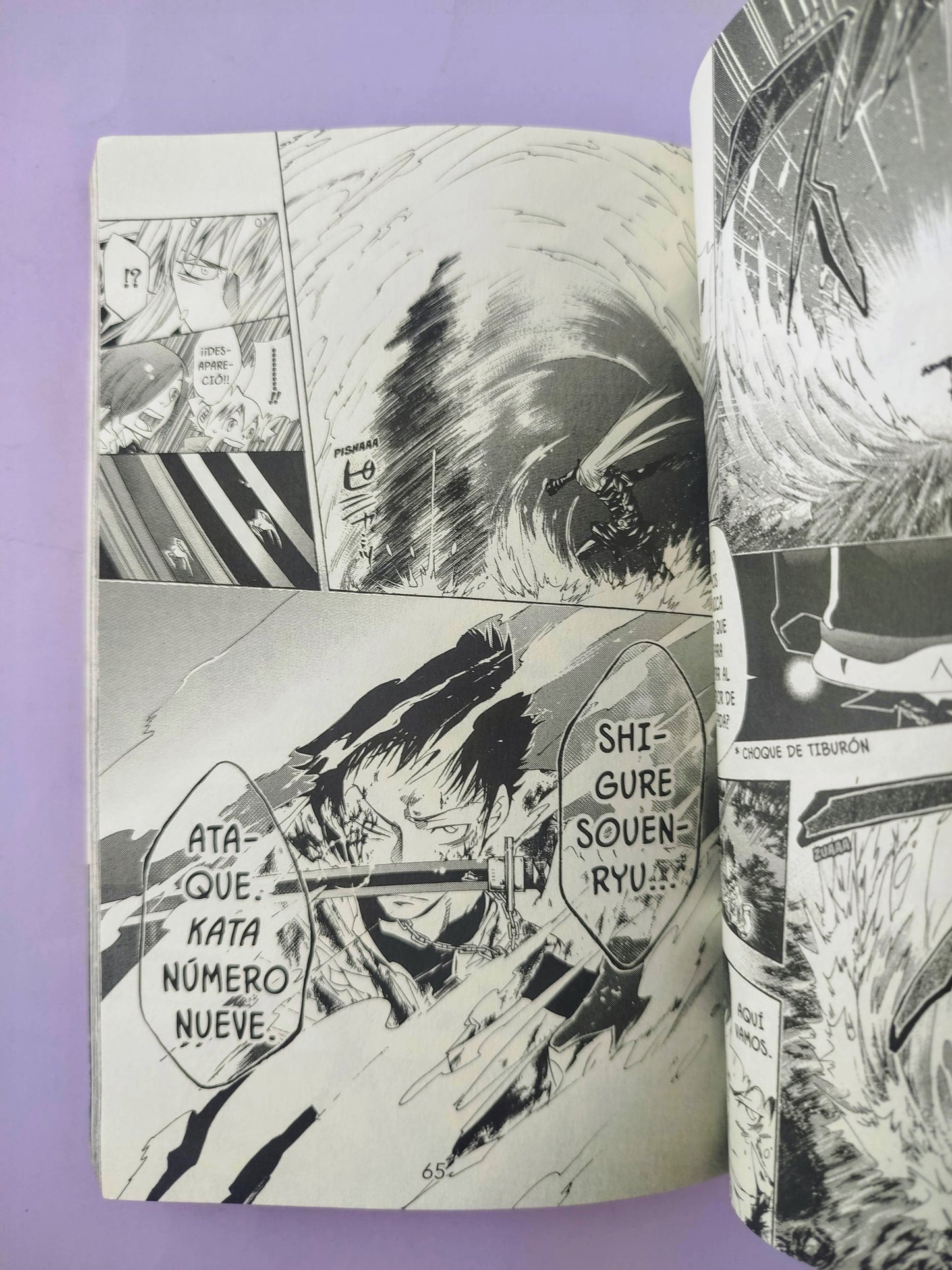 Katekyo hitman reborn N.13