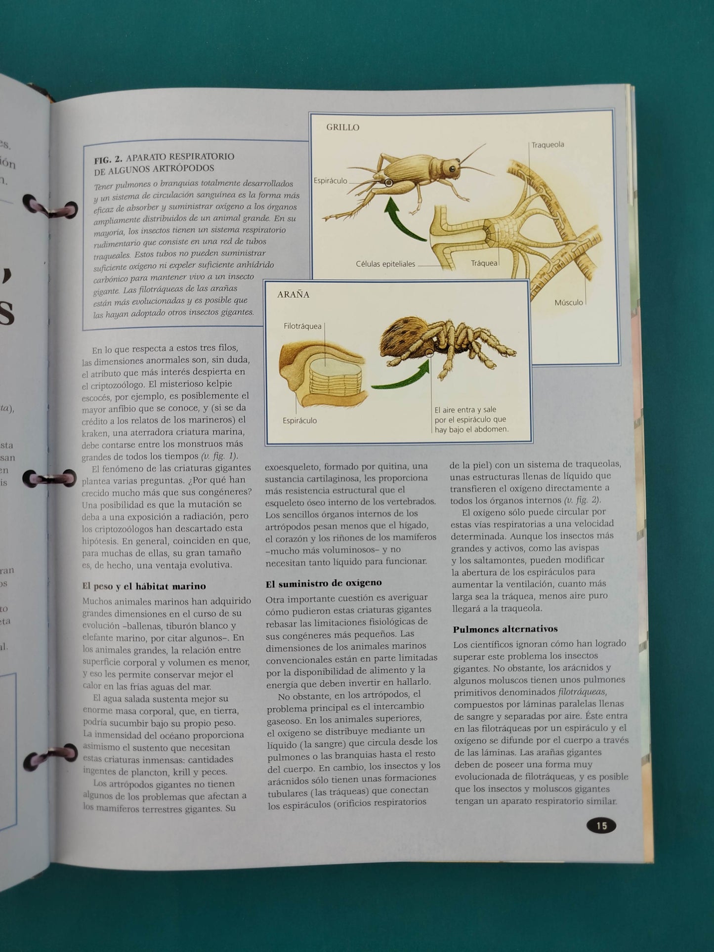 Gran enciclopedia de los seres mágicos