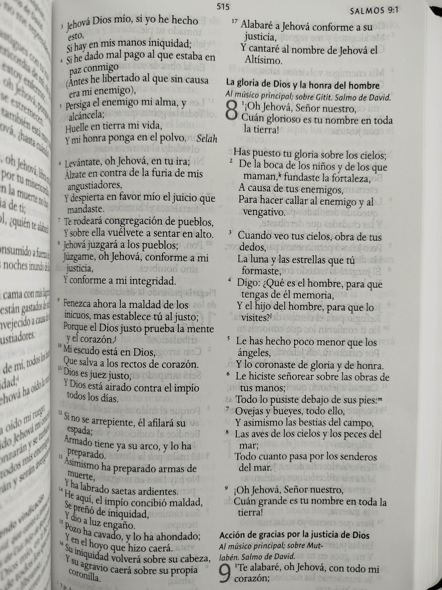 Biblia rvr 1960 letra grande tamaño manual tapa dura león de judá con imágenes de la tierra santa by Reina Valera 1960