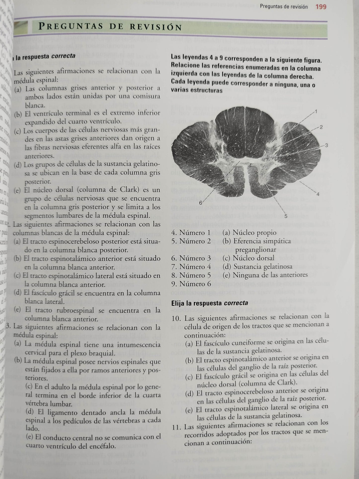 Neuroanatomía clínica 6 edición by Richard S Snell
