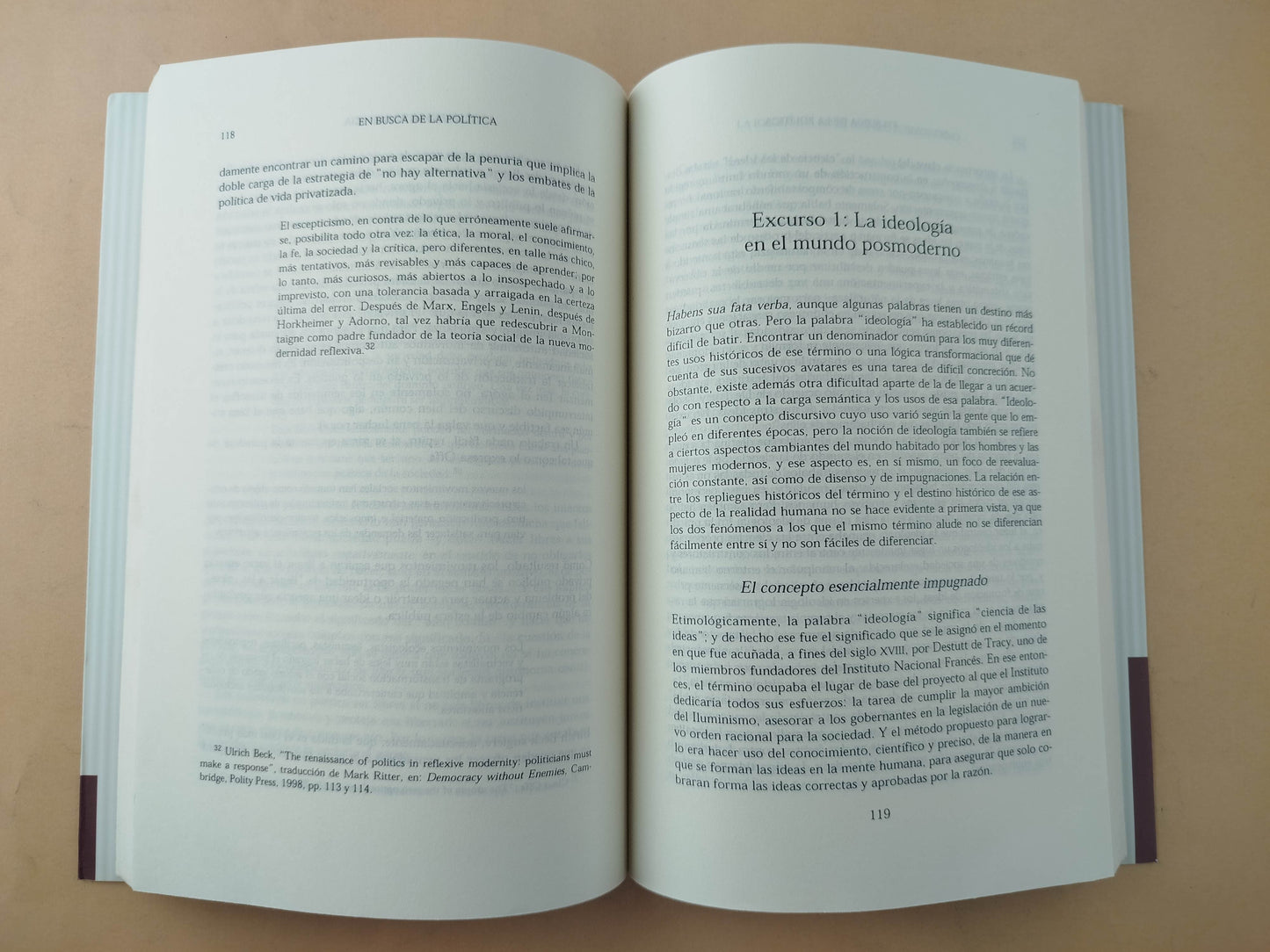 En Busca de La Política