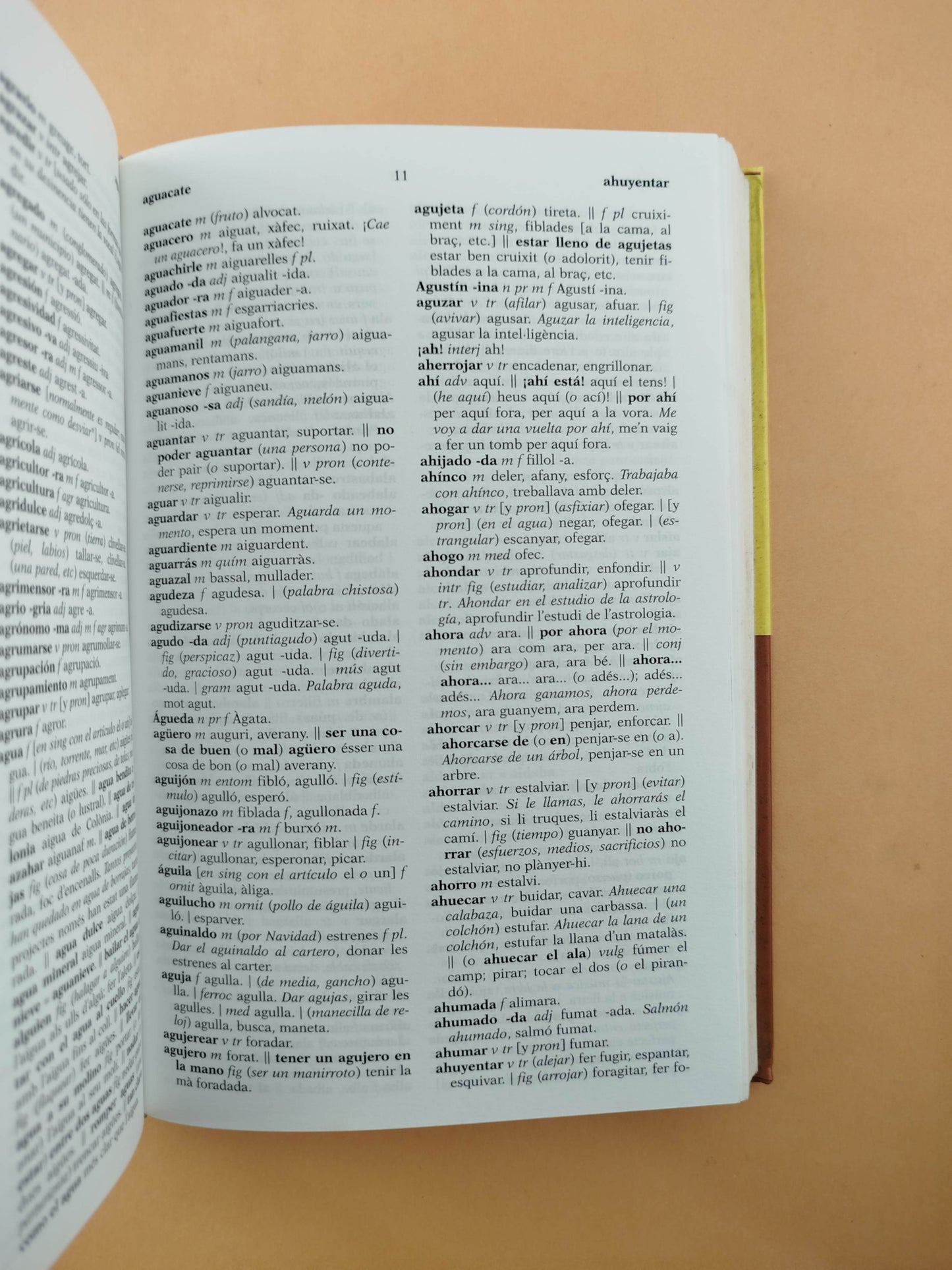 Diccionari Català-Castellà