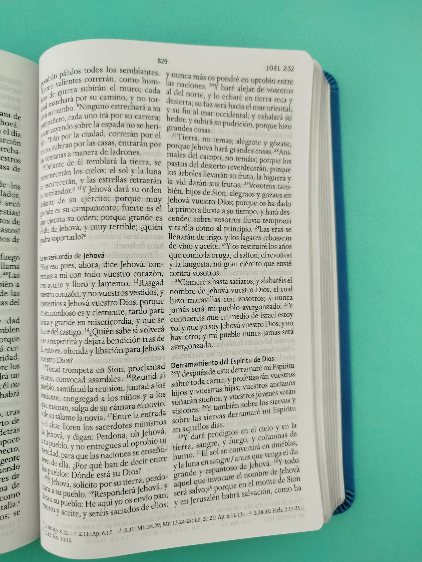 Biblia rvr 1960 letra grande tipo agenda azul sin cierre borde plateado e imágenes de la tierra santa tamaño manual