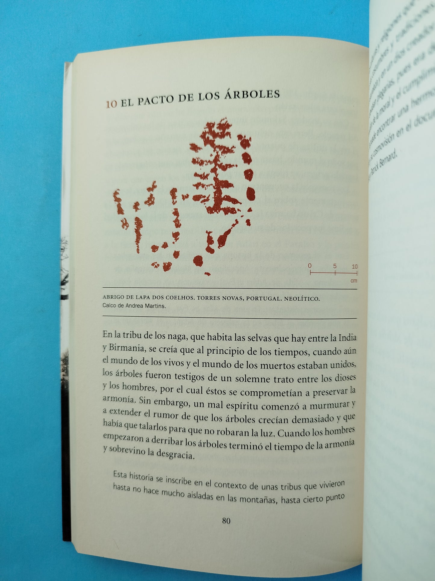 El gran árbol de la humanidad
