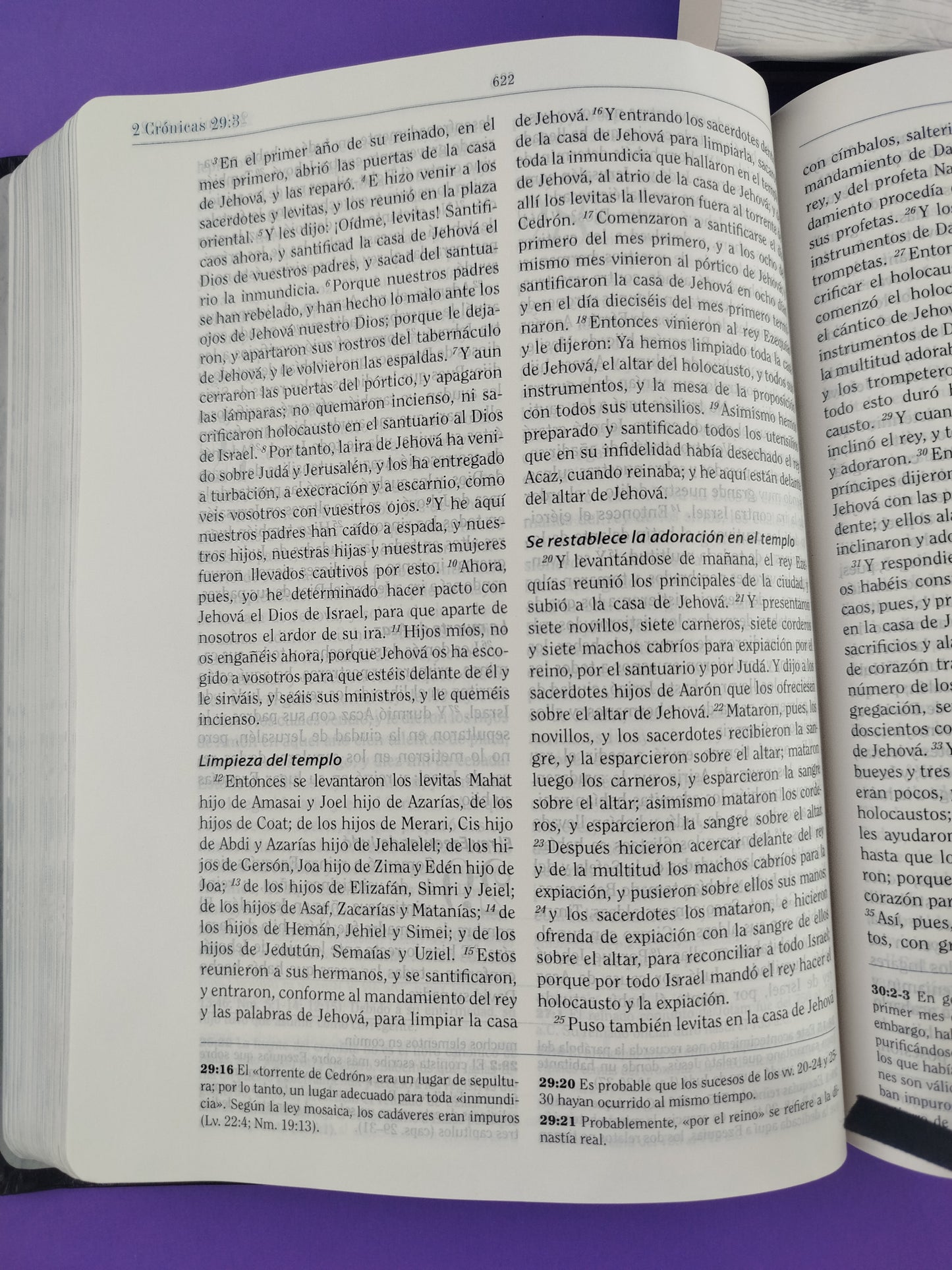 Biblia De Estudio Apologetica Edicion De Lujo