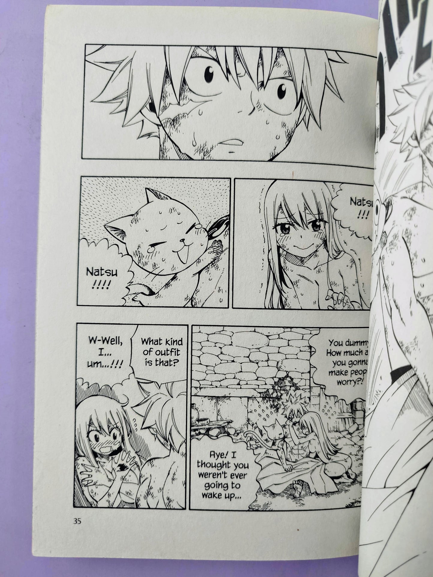 Fairy tail N.61