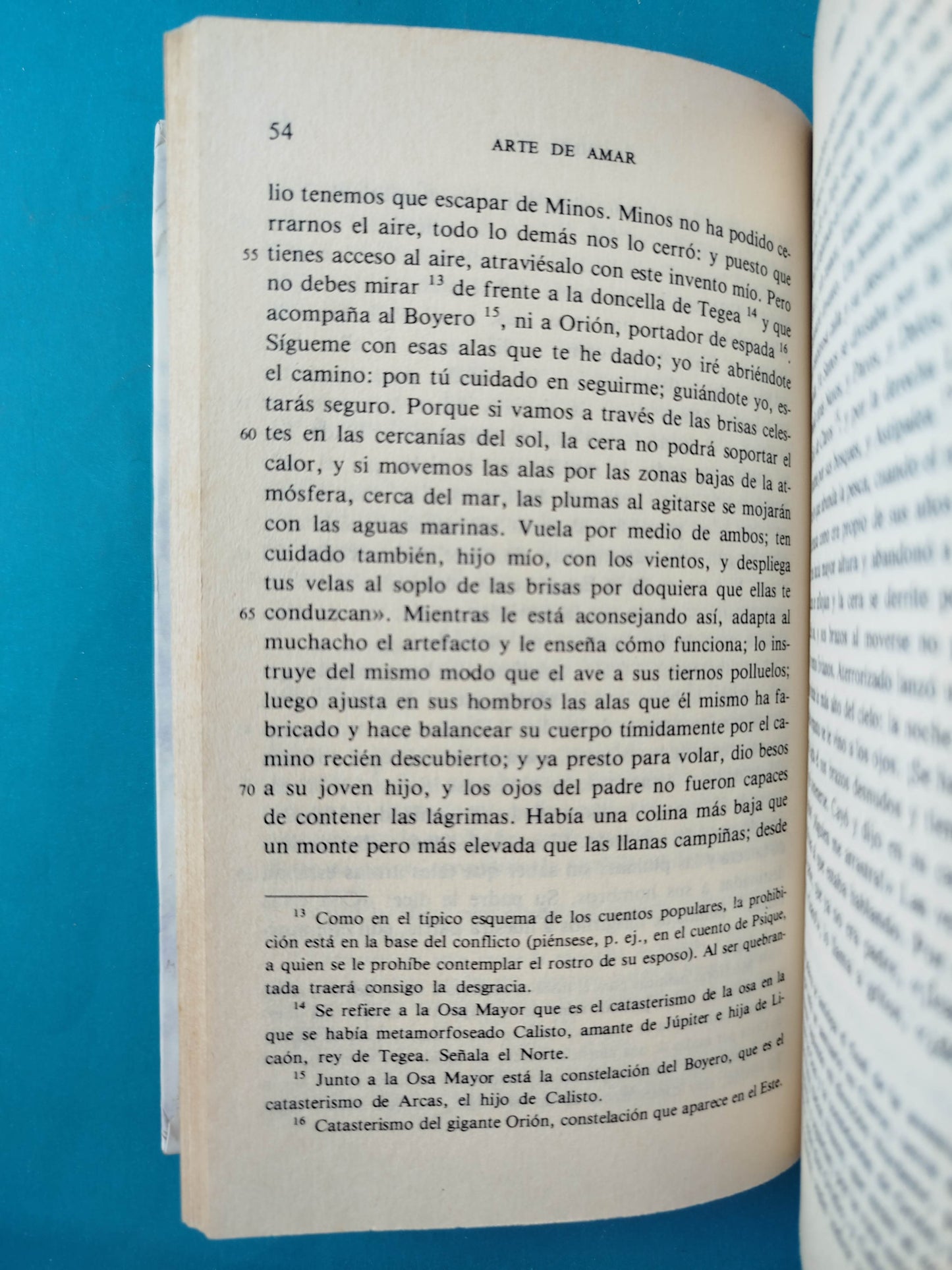 Arte de amar. Amores