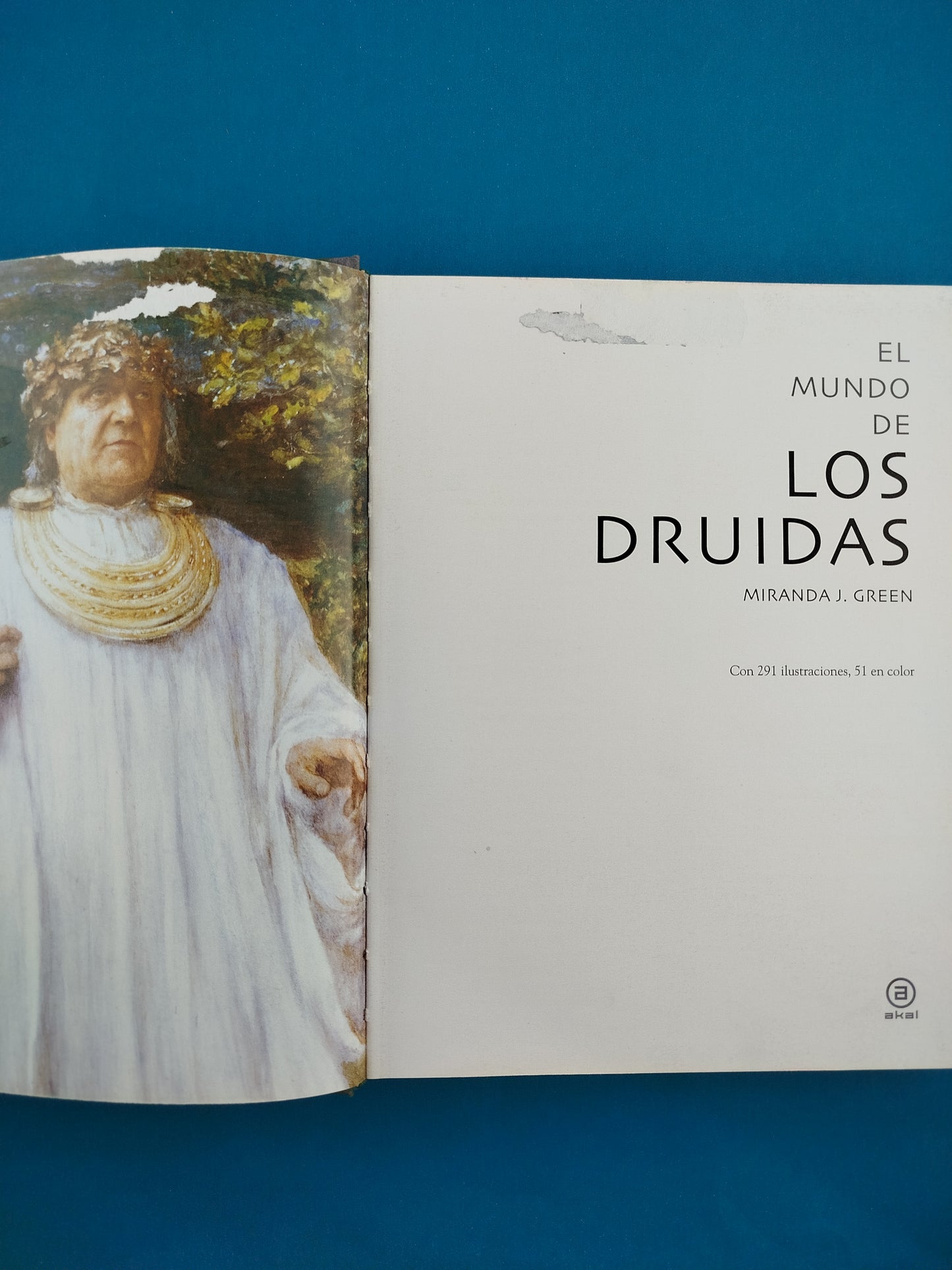 El Mundo de Los Druidas