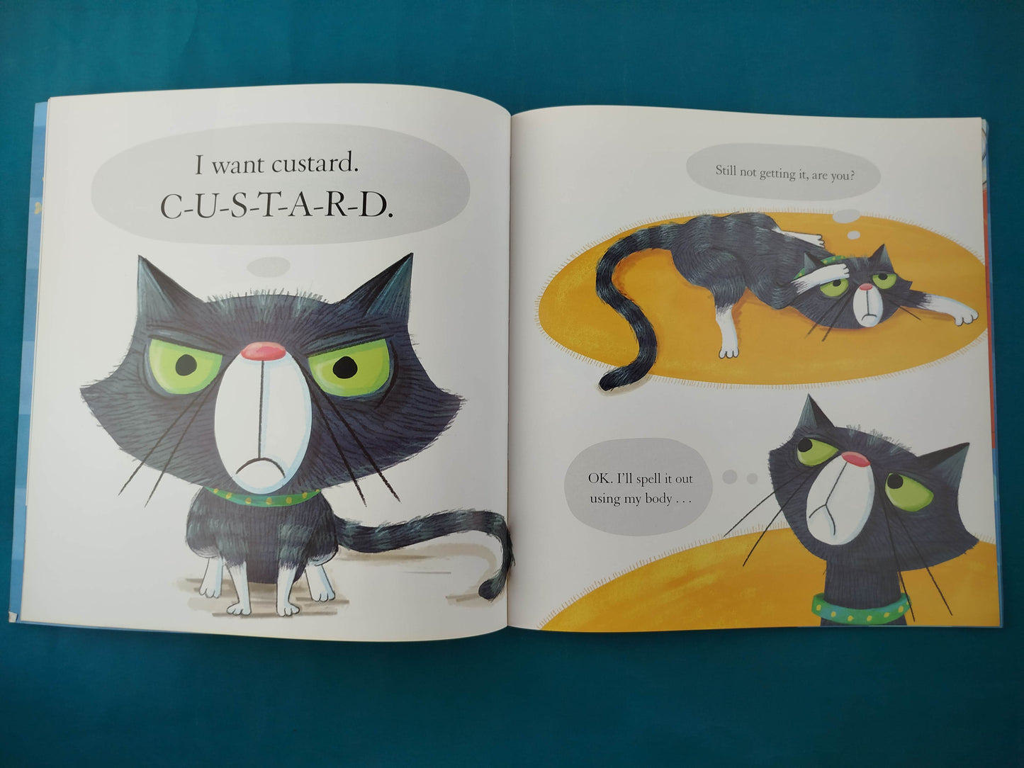 The Cat Wants Custard