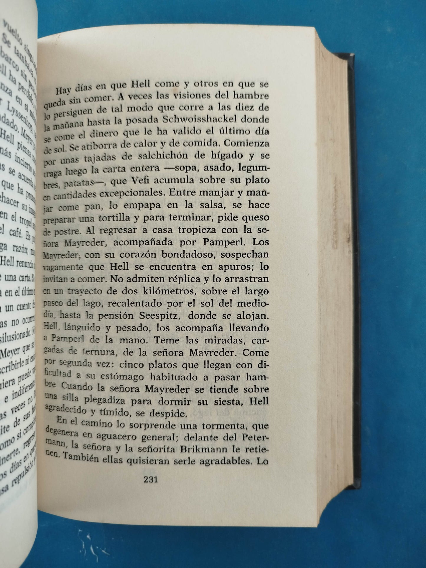 El Lago De Las Damas