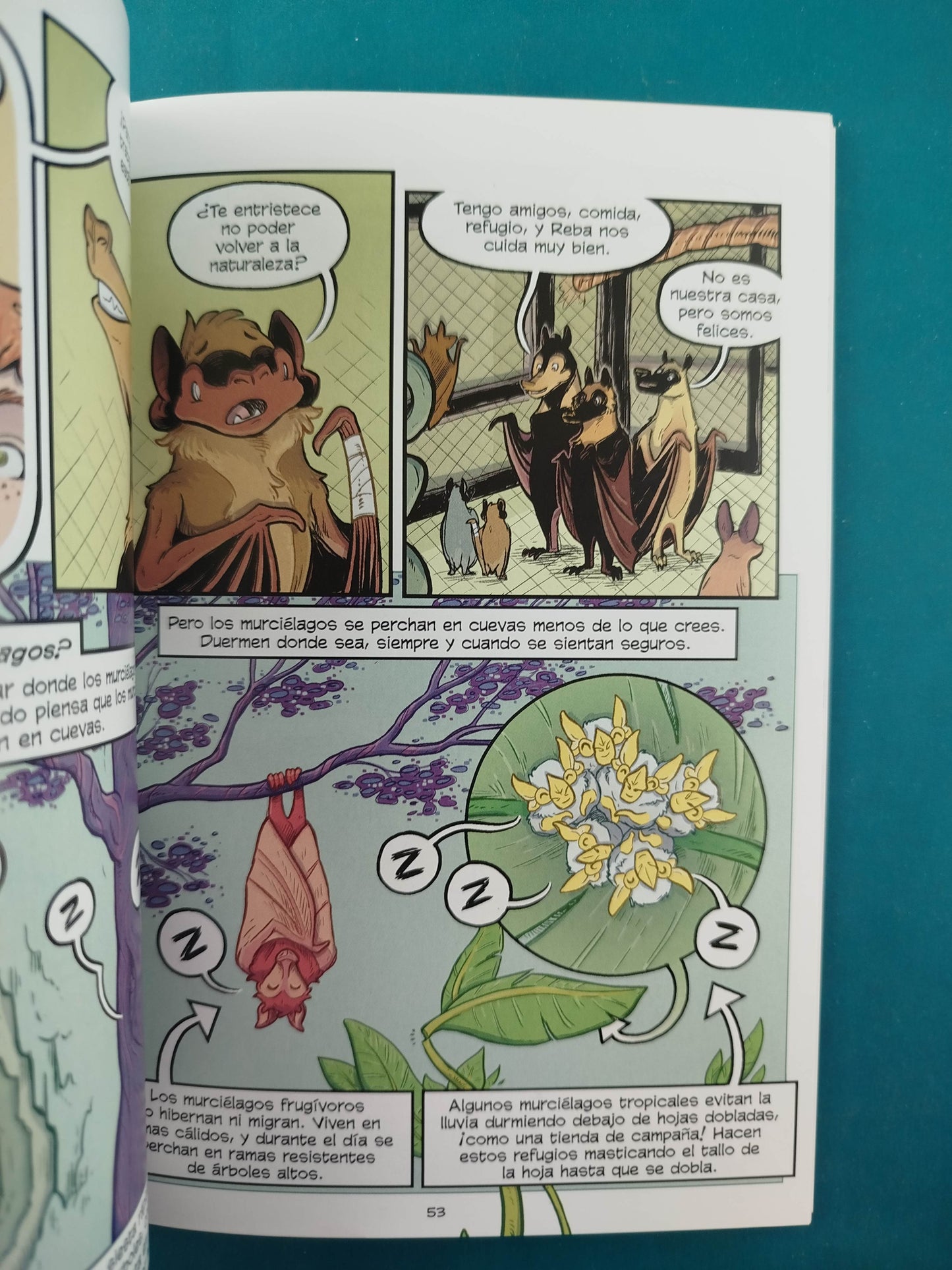 Cómics de ciencia Murciélagos Aprendiendo a volar