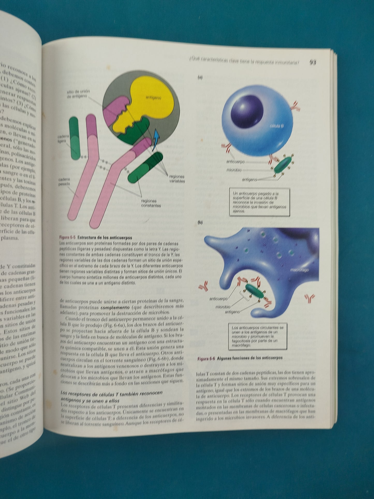 Biología anatomía y fisiología animal sexta edición