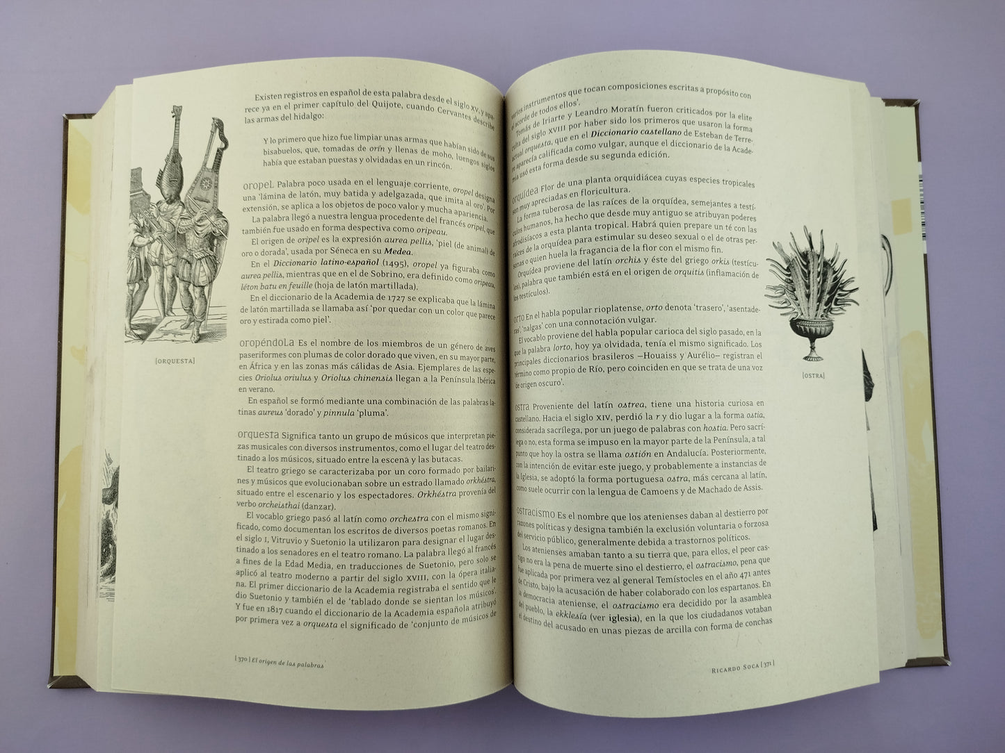El origen de las palabras: diccionario etimológico ilustrado by Ricardo Soca
