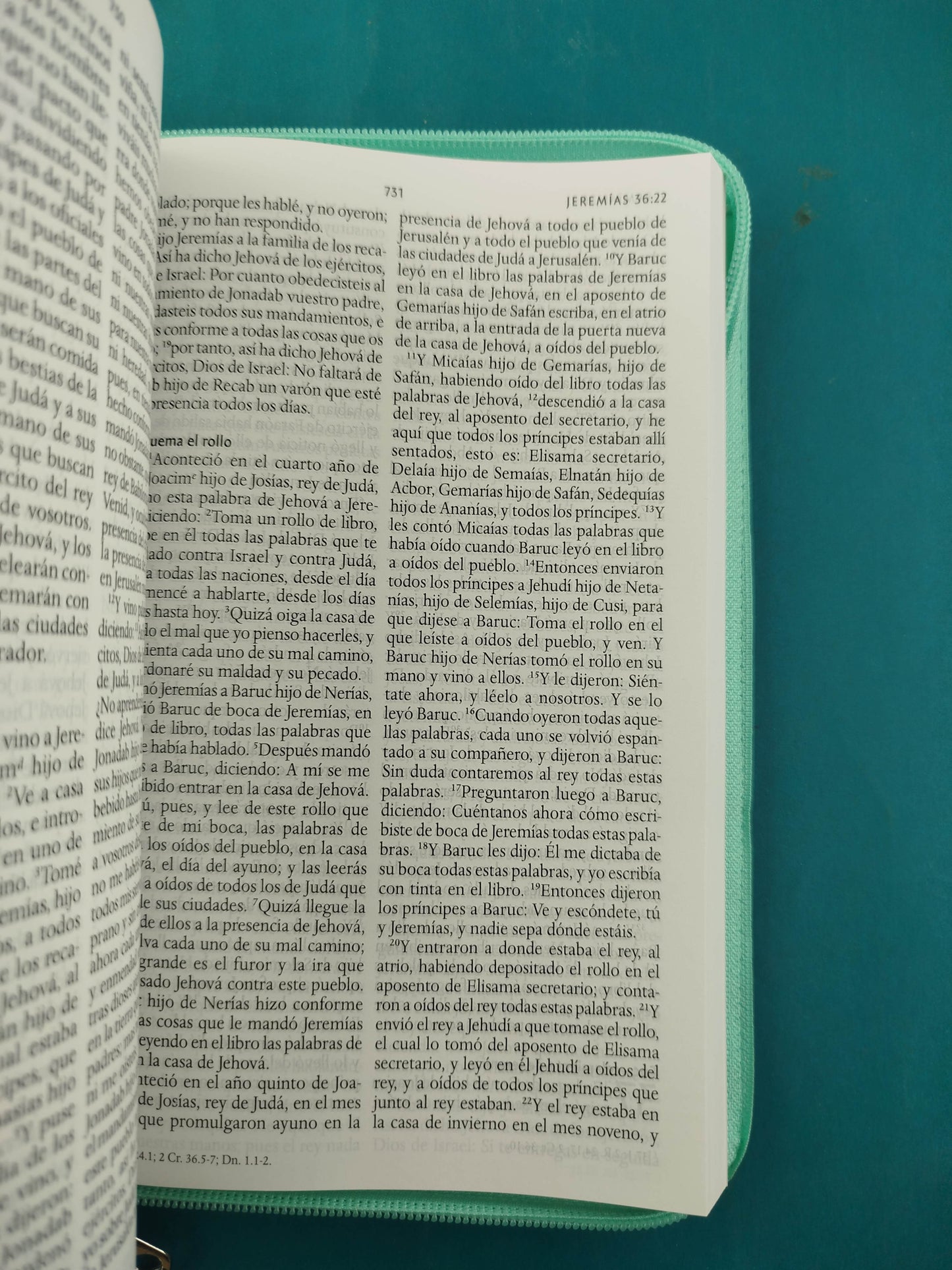 Biblia RVR 1960 Letra Grande Estuche Verde con Mariposas