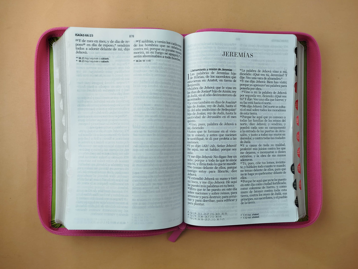 Biblia rvr 1960 tricolor fucsia - verde lima - cafè letra grande con cierre e índice by Reina Valera 1960