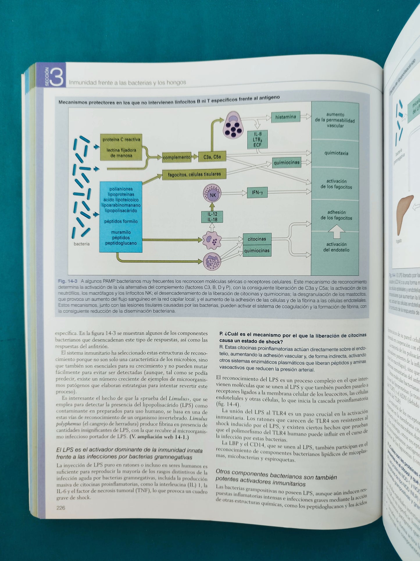 Inmunología octava edición