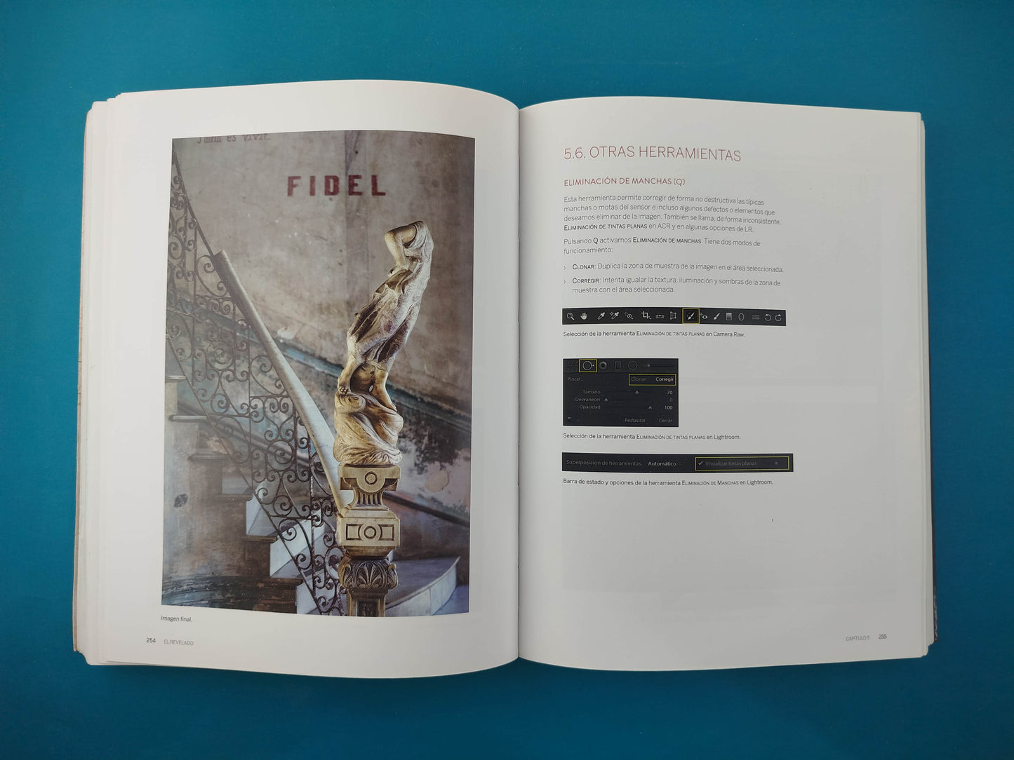 Los fundamentos de la fotografía