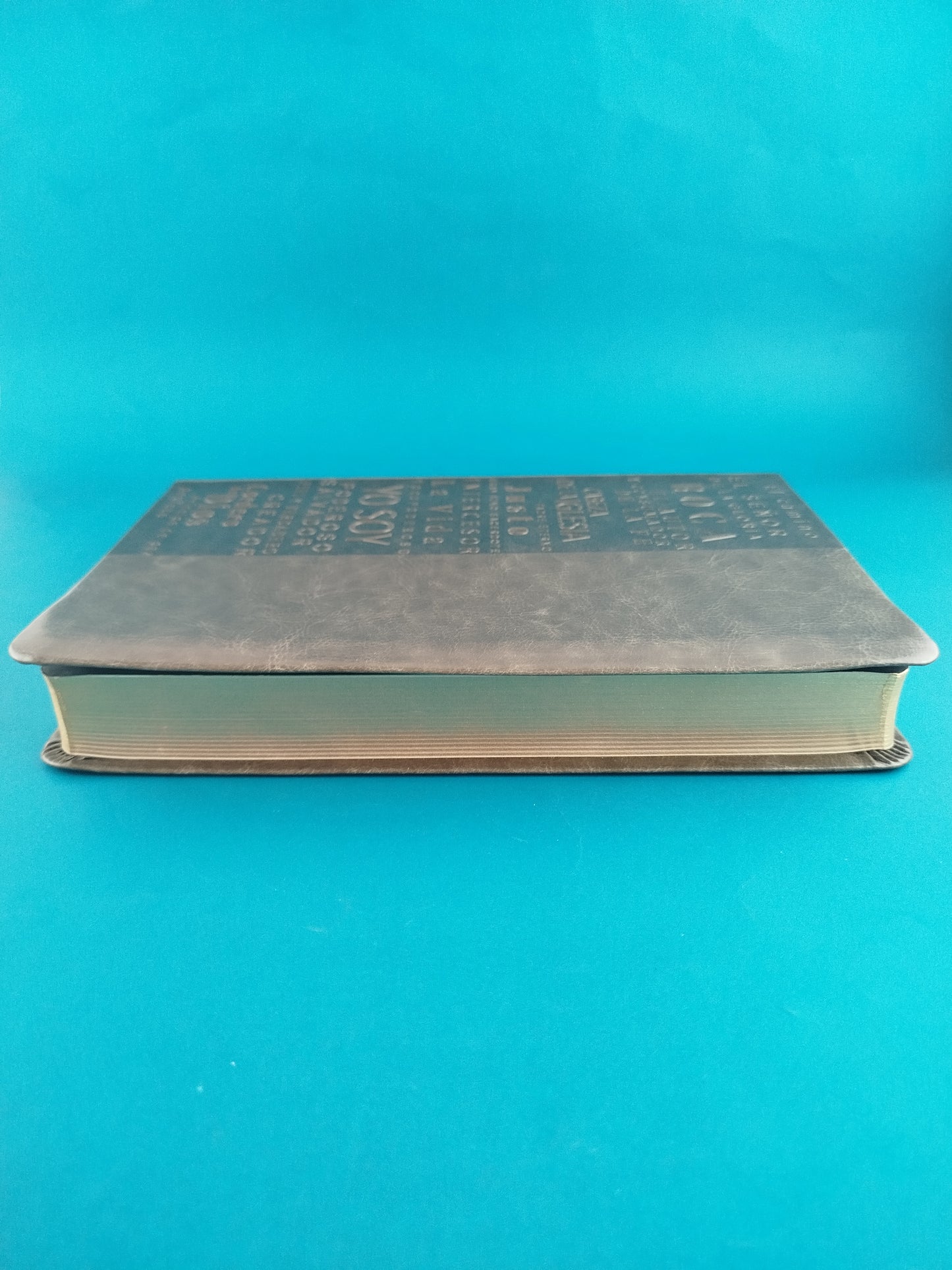 Biblia rvr 1960 letra grande tipo agenda gris sin cierre borde dorado e imágenes de la tierra santa tamaño manual