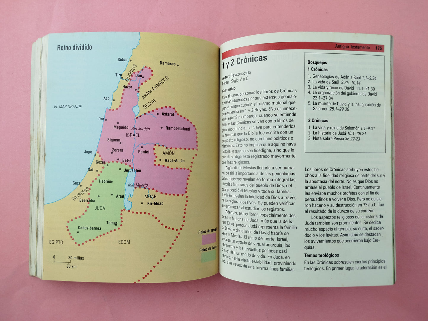 Manual bíblico de bolsillo