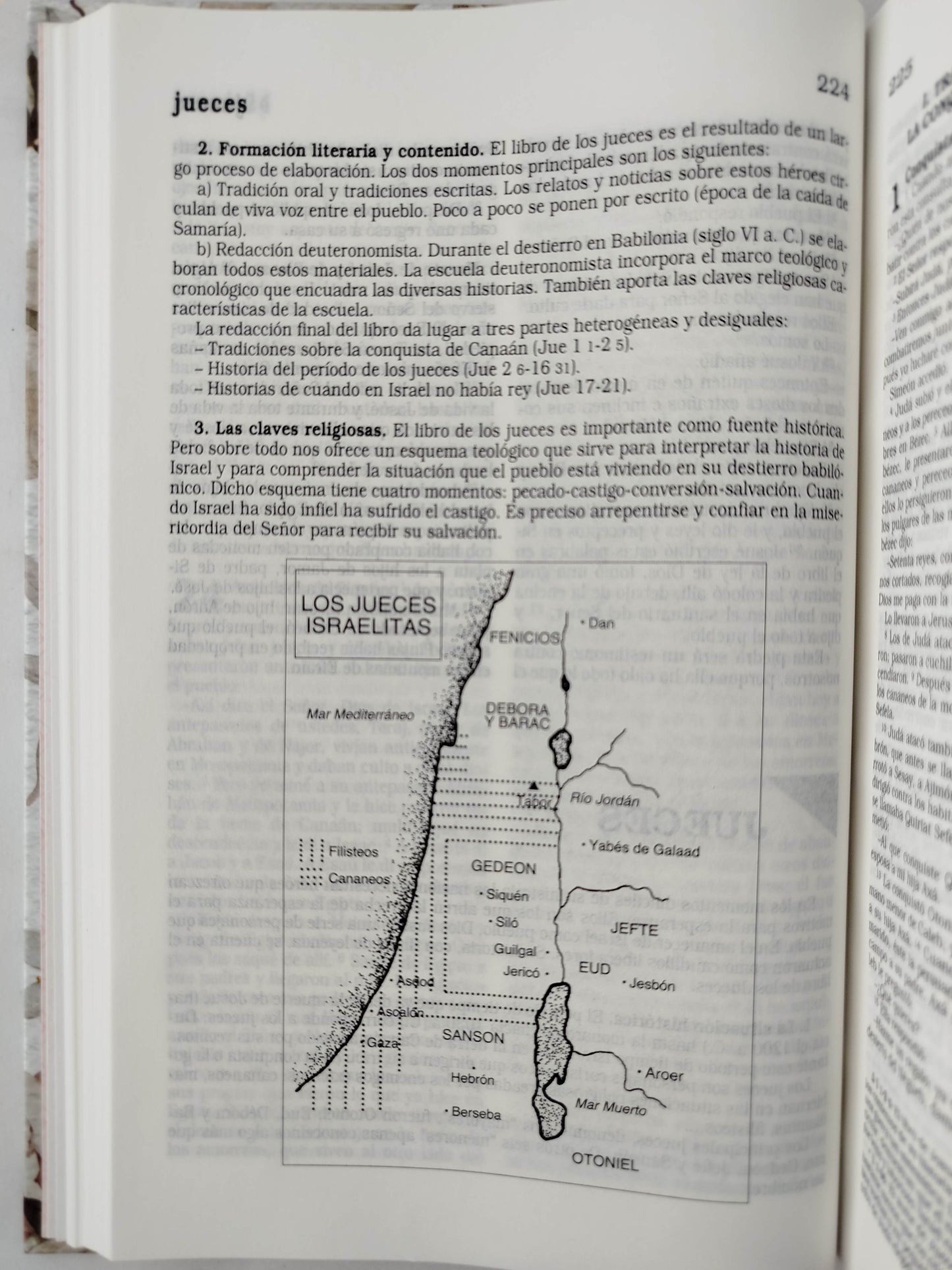 La Biblia Católica: Edición letra grande. Tapa dura, Tela rosada con flores by Cipriano Valera