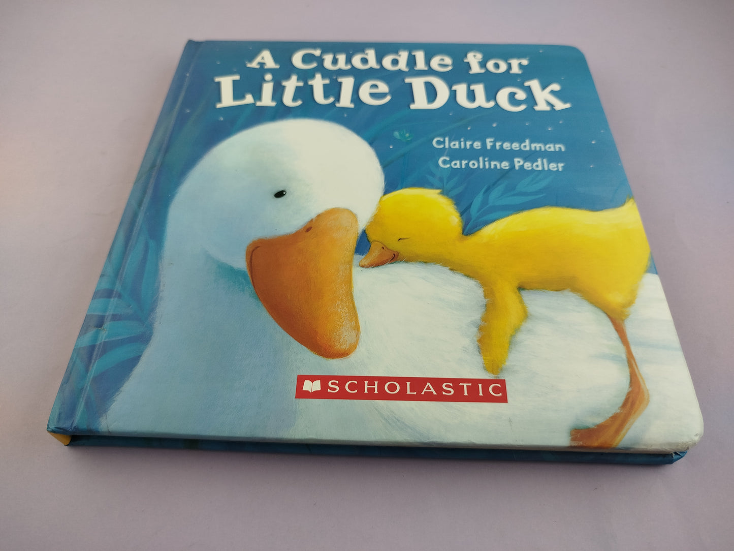 A Cuddle For Little Duck