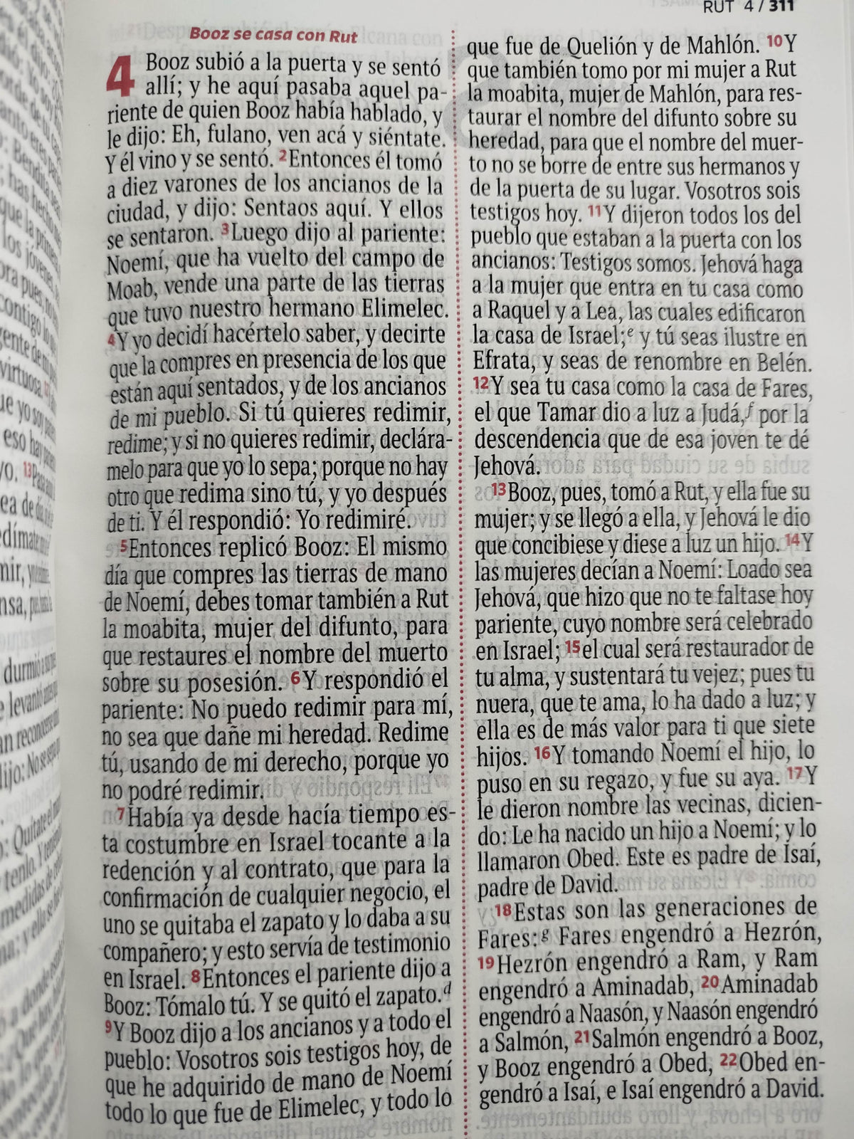 Biblia RVR 1960 letra grande verde - rosado by Reina Valera 1960