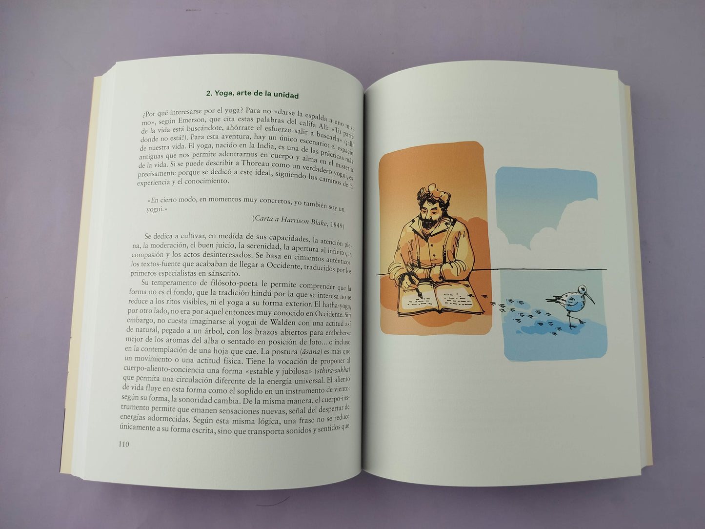 Thoreau Yogui del bosque