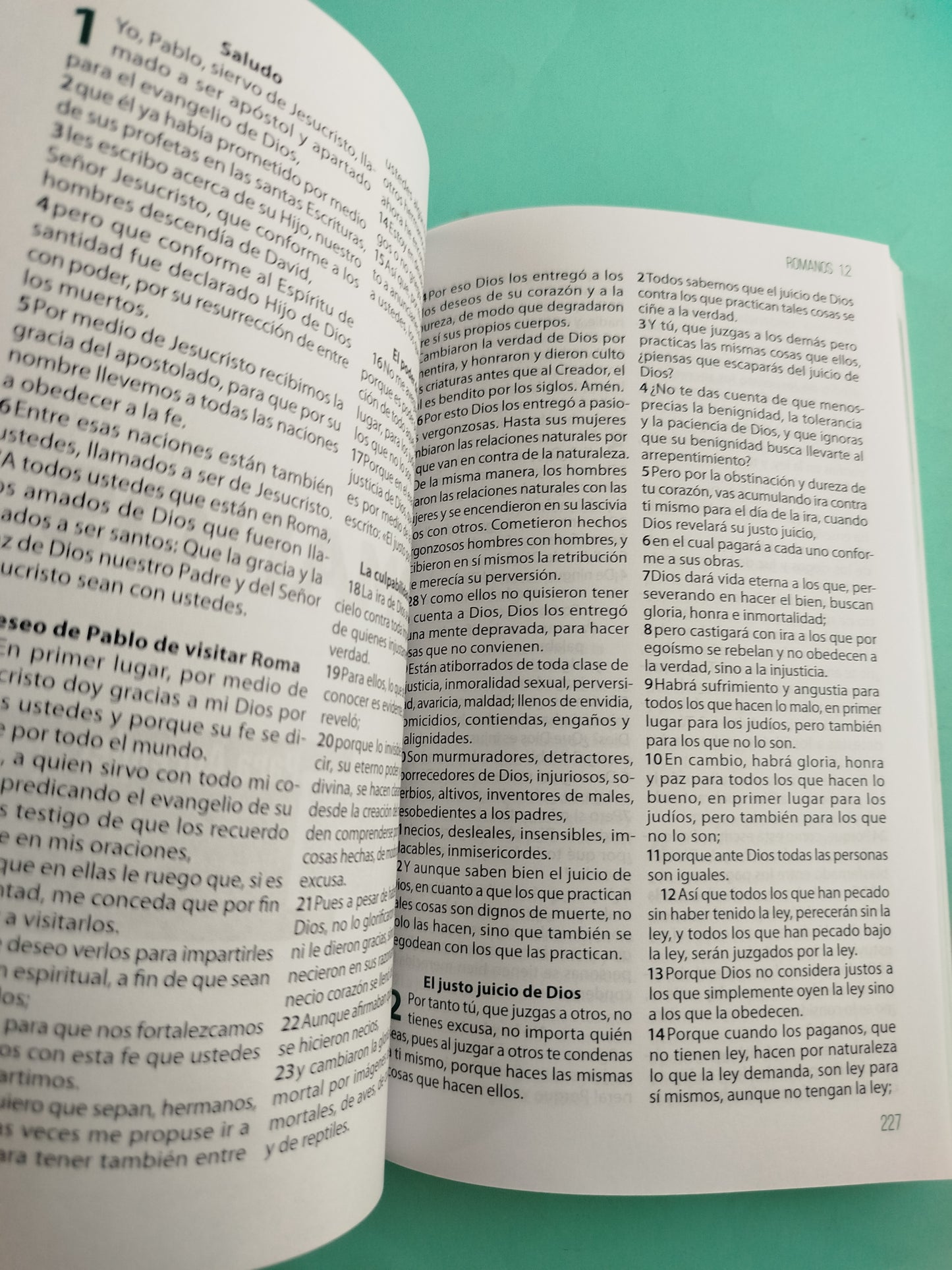 Nuevo testamento rvc grande