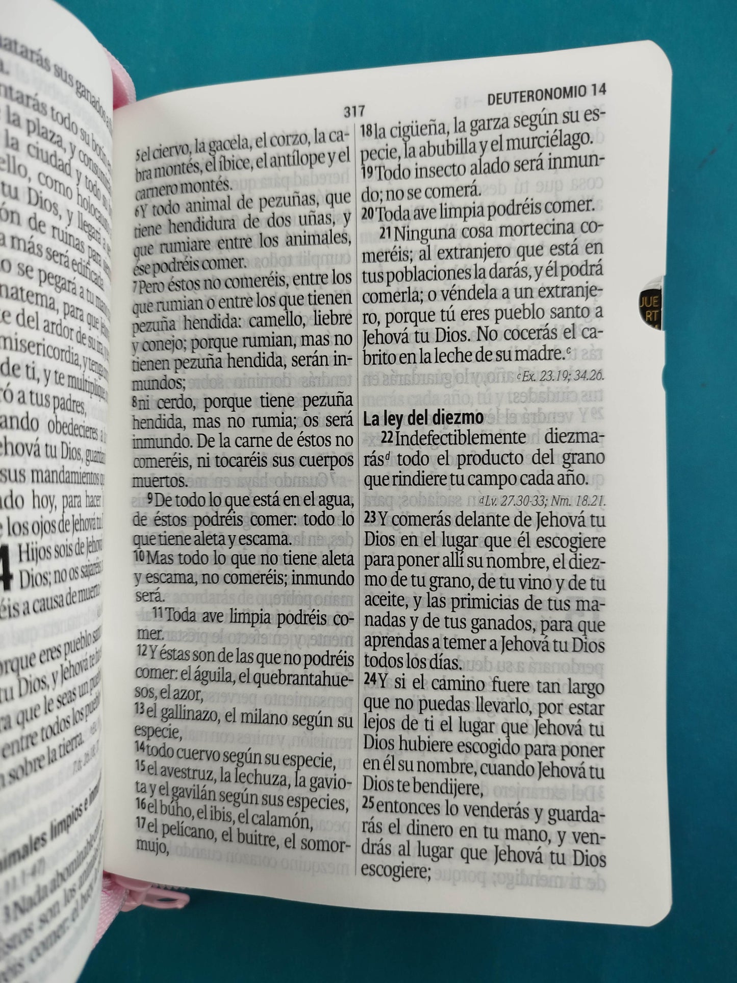Biblia Mediana Fucsia Rosado con Índice y Letra Grande