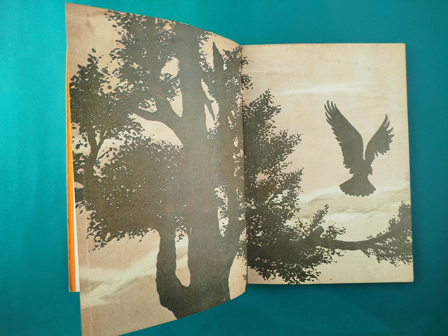 Ningun lugar esta lejos