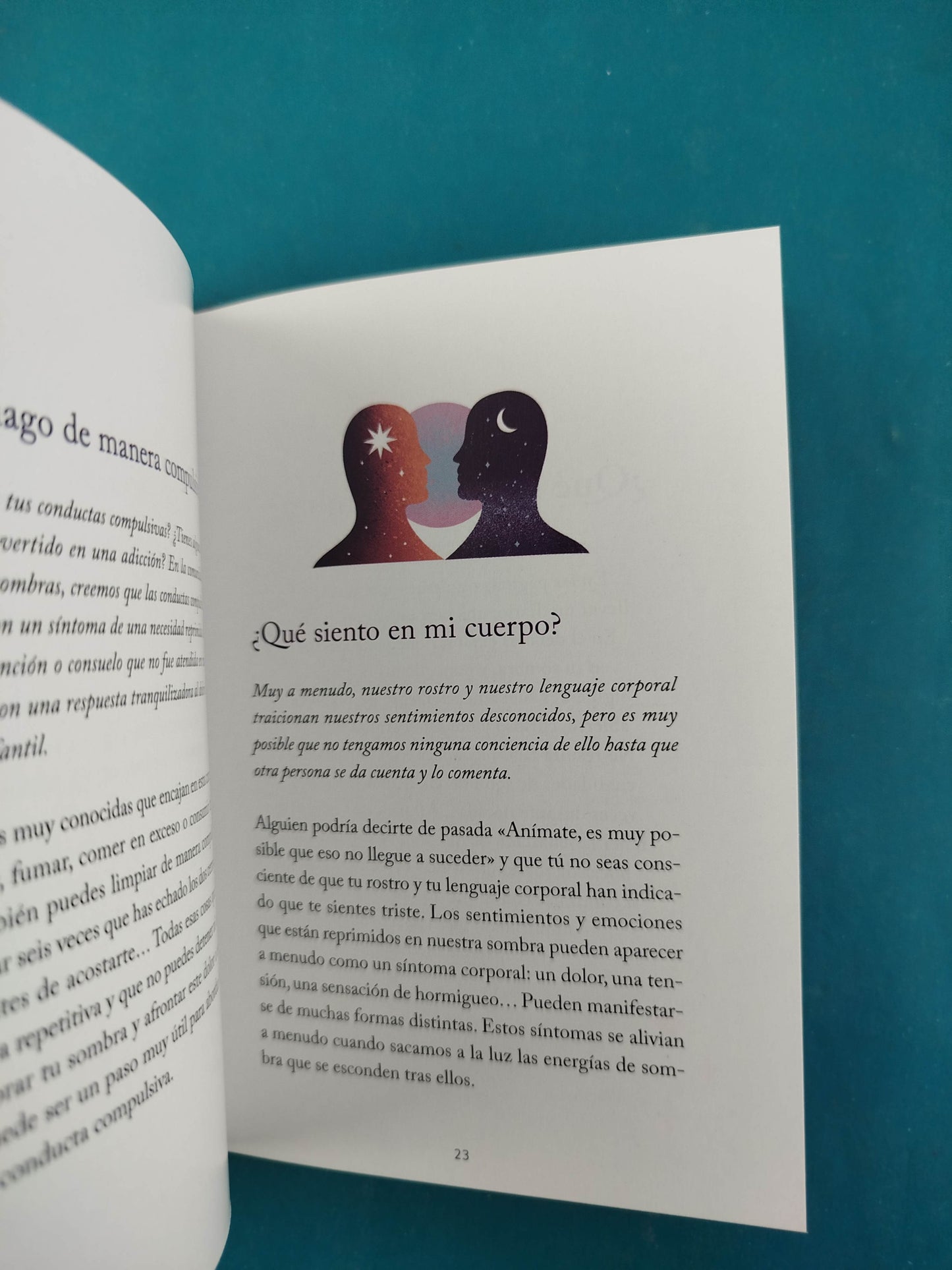 El pequeño libro del Trabajo de sombras
