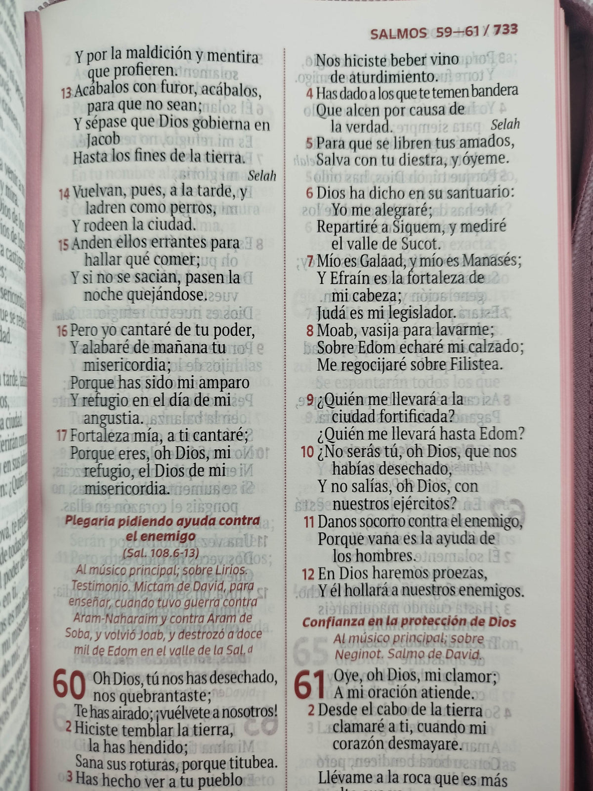 Biblia rvr letra grande rosada flores by Reina Valera 1960
