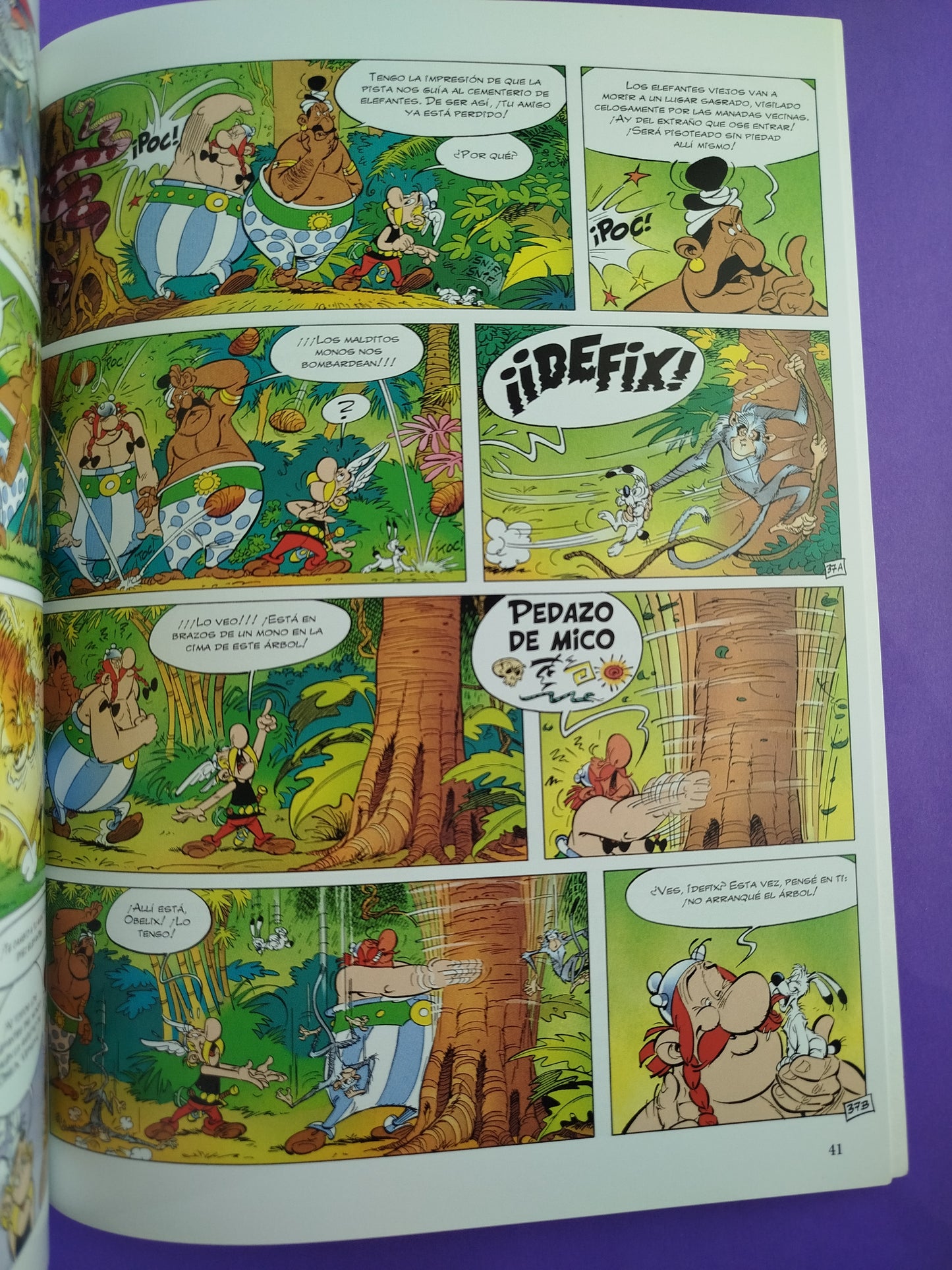 Astérix en la India