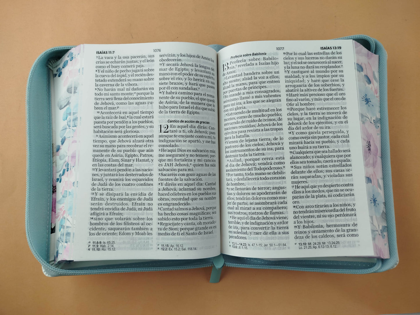Biblia rvr 1960 colección primaveral letra grande azul claro con cierre